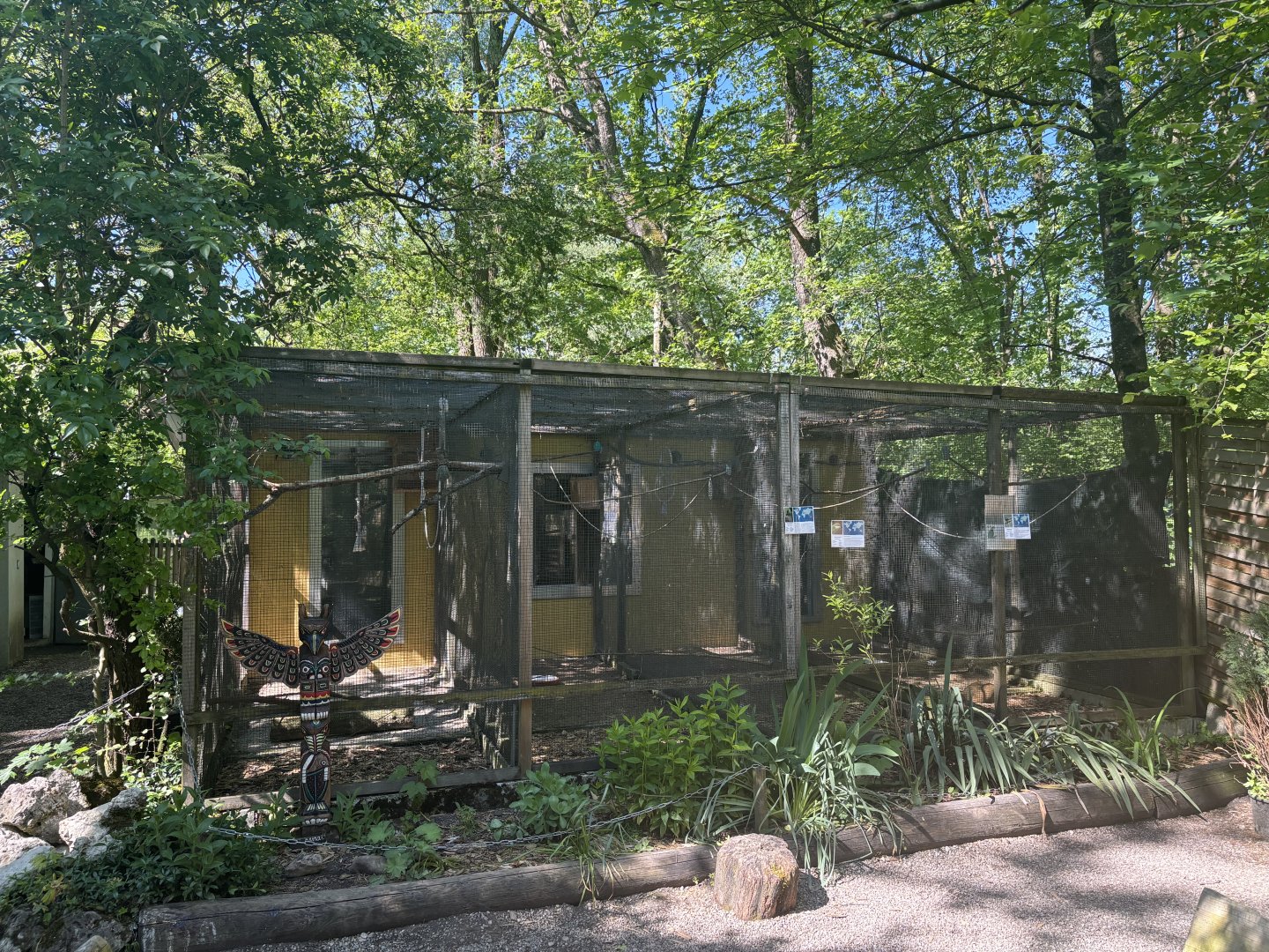 Row of Parrot Enclosures