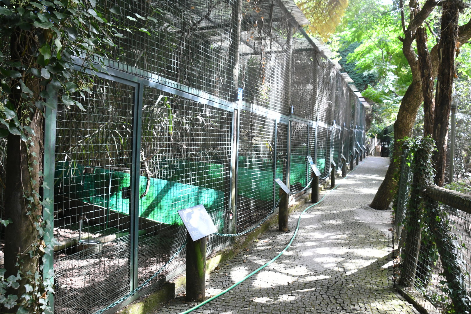 Row of Pheasant Aviaries (Zoo Lourosa)