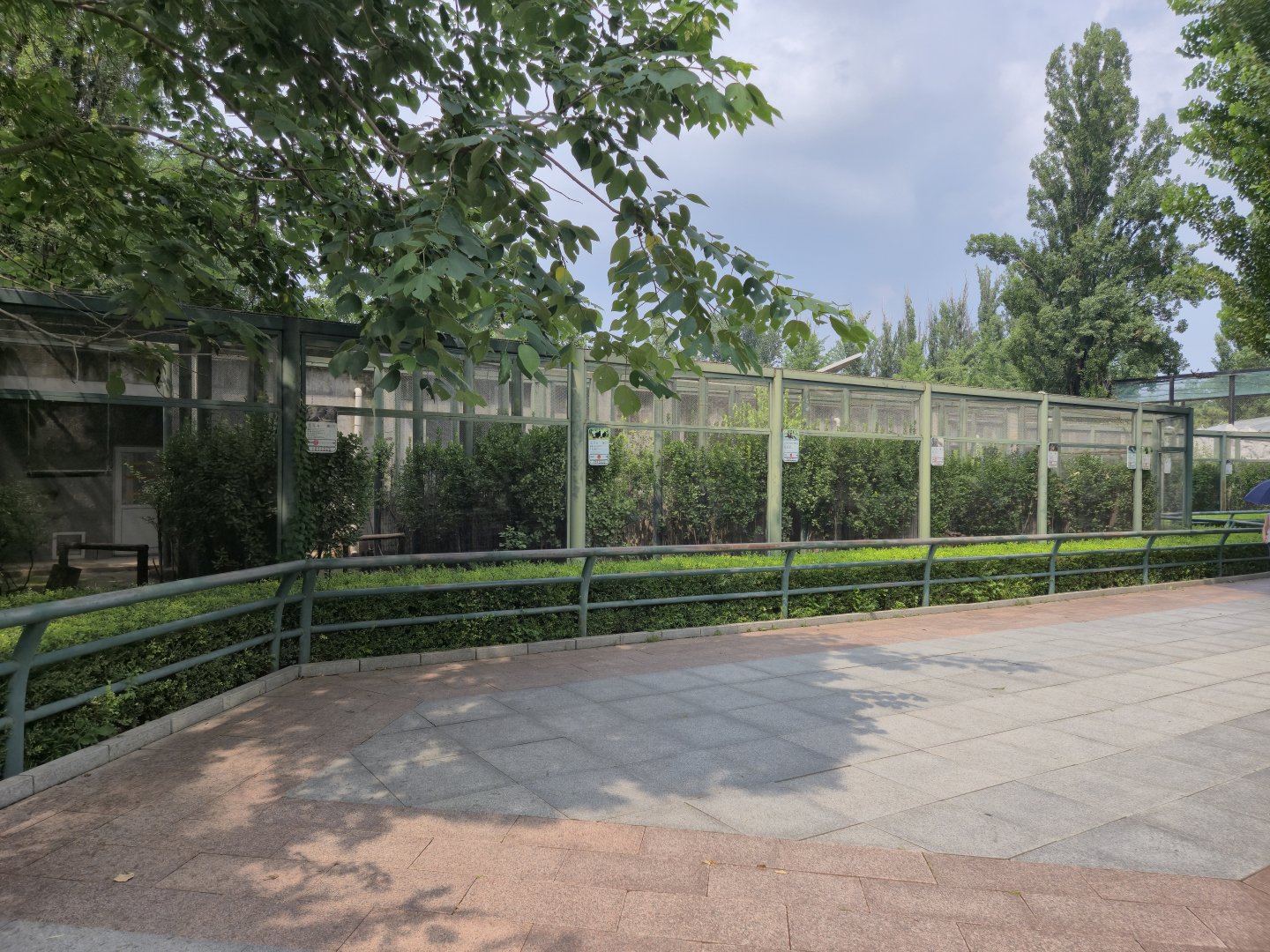 Row of Pheasant exhibits