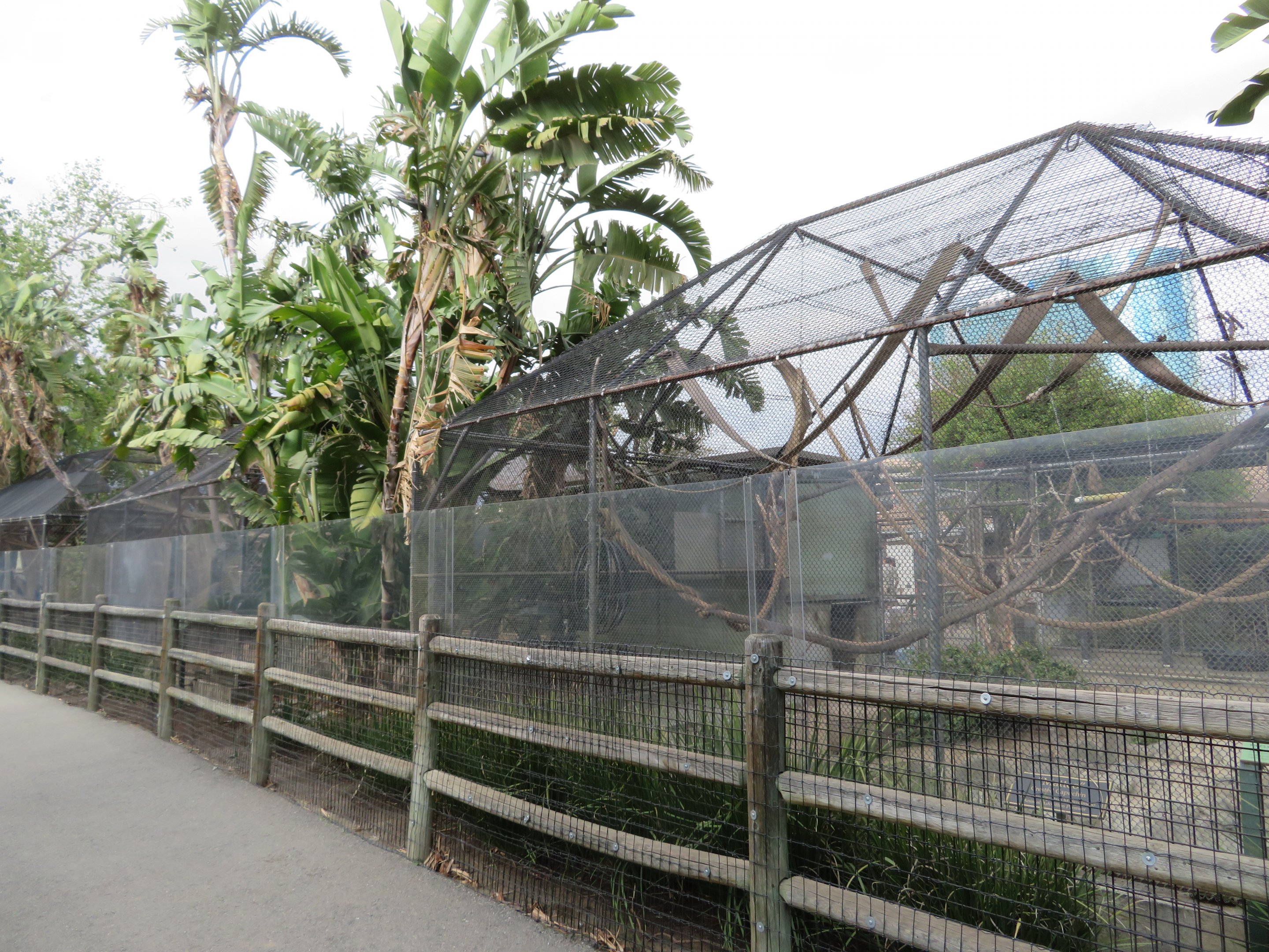 Row of Primate Cages