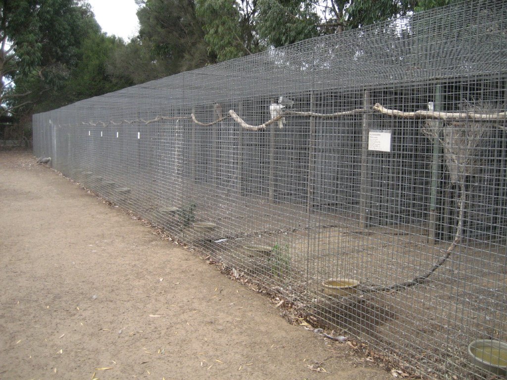 Row of Raptor aviaries