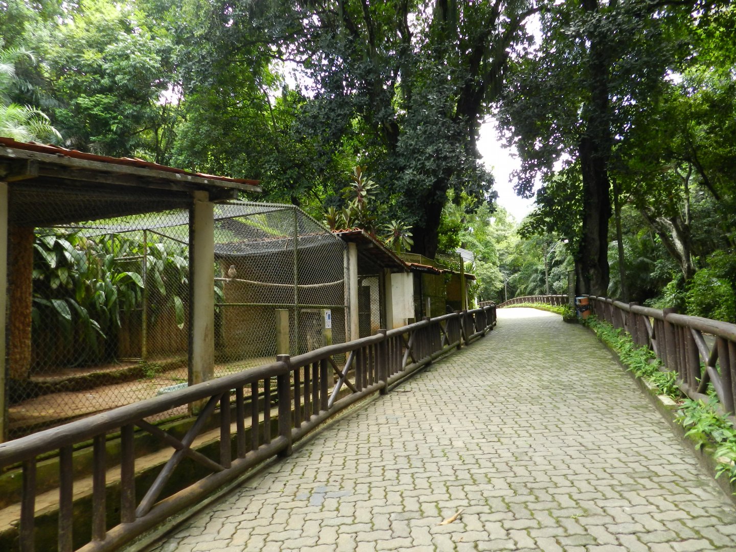 Row of raptor exhibits - Salvador zoo (PZGV)
