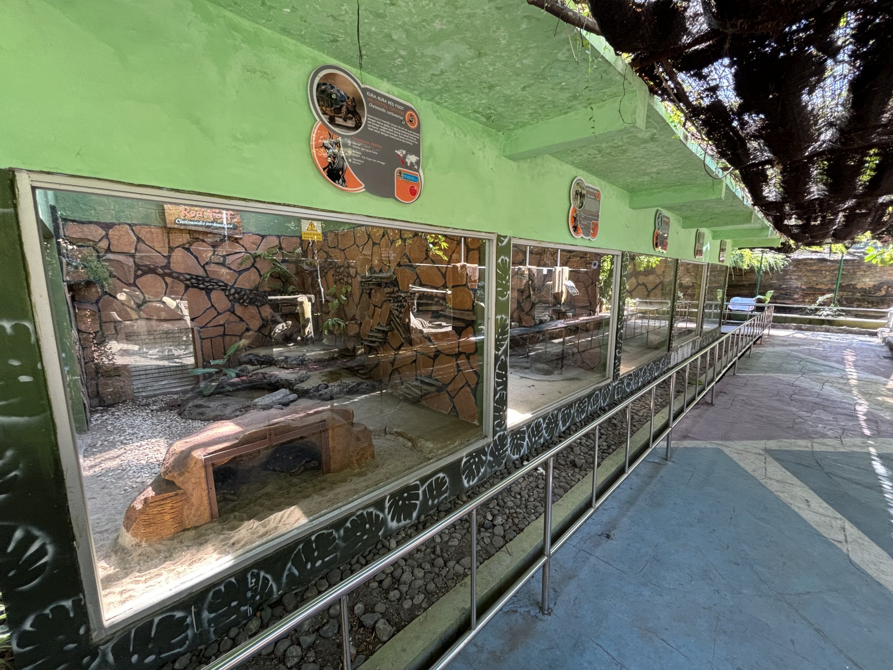 Row of Reptile Exhibits #1