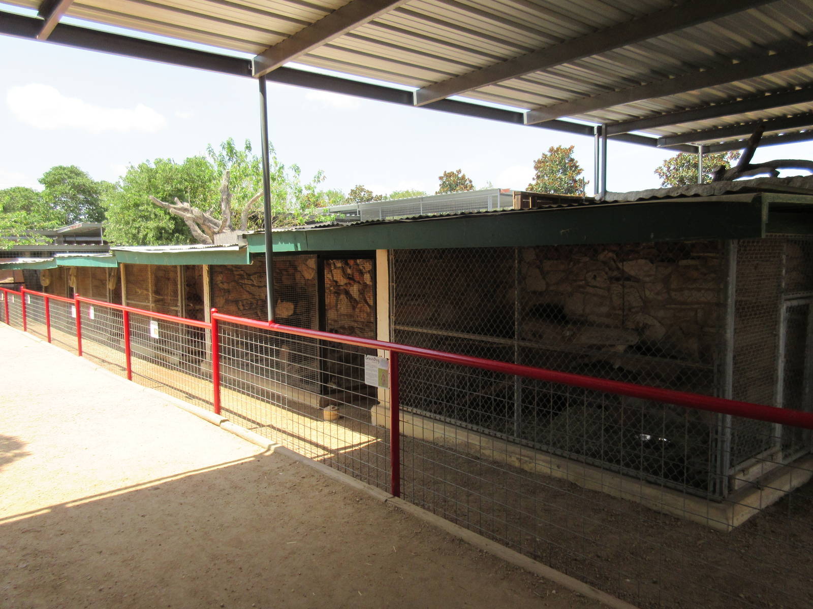 Row of Small Animal Exhibits