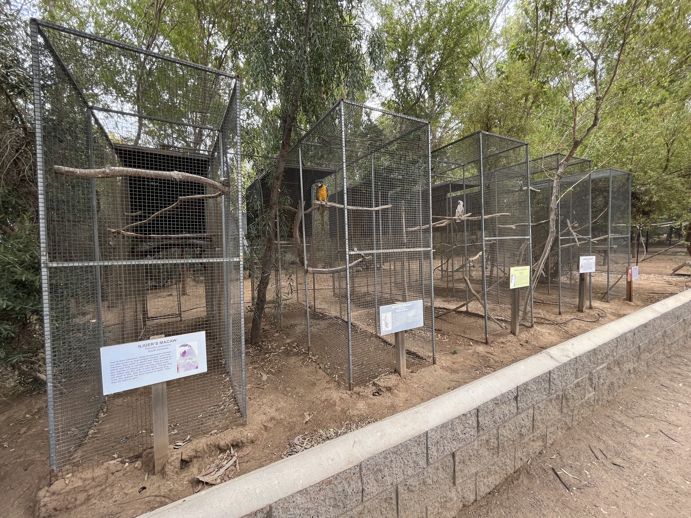 Row of small aviaries (4 species)