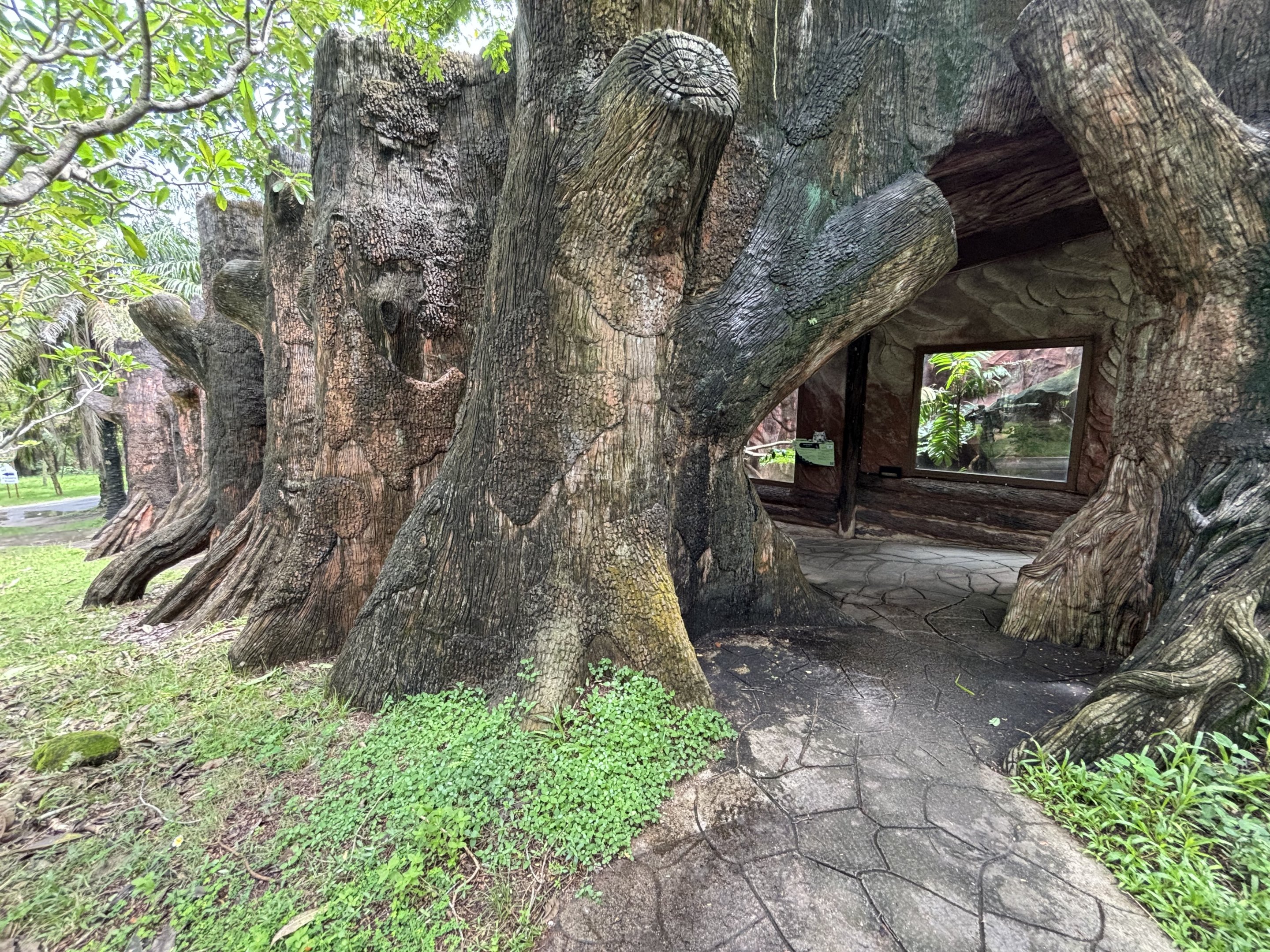 Row of small cat exhibits