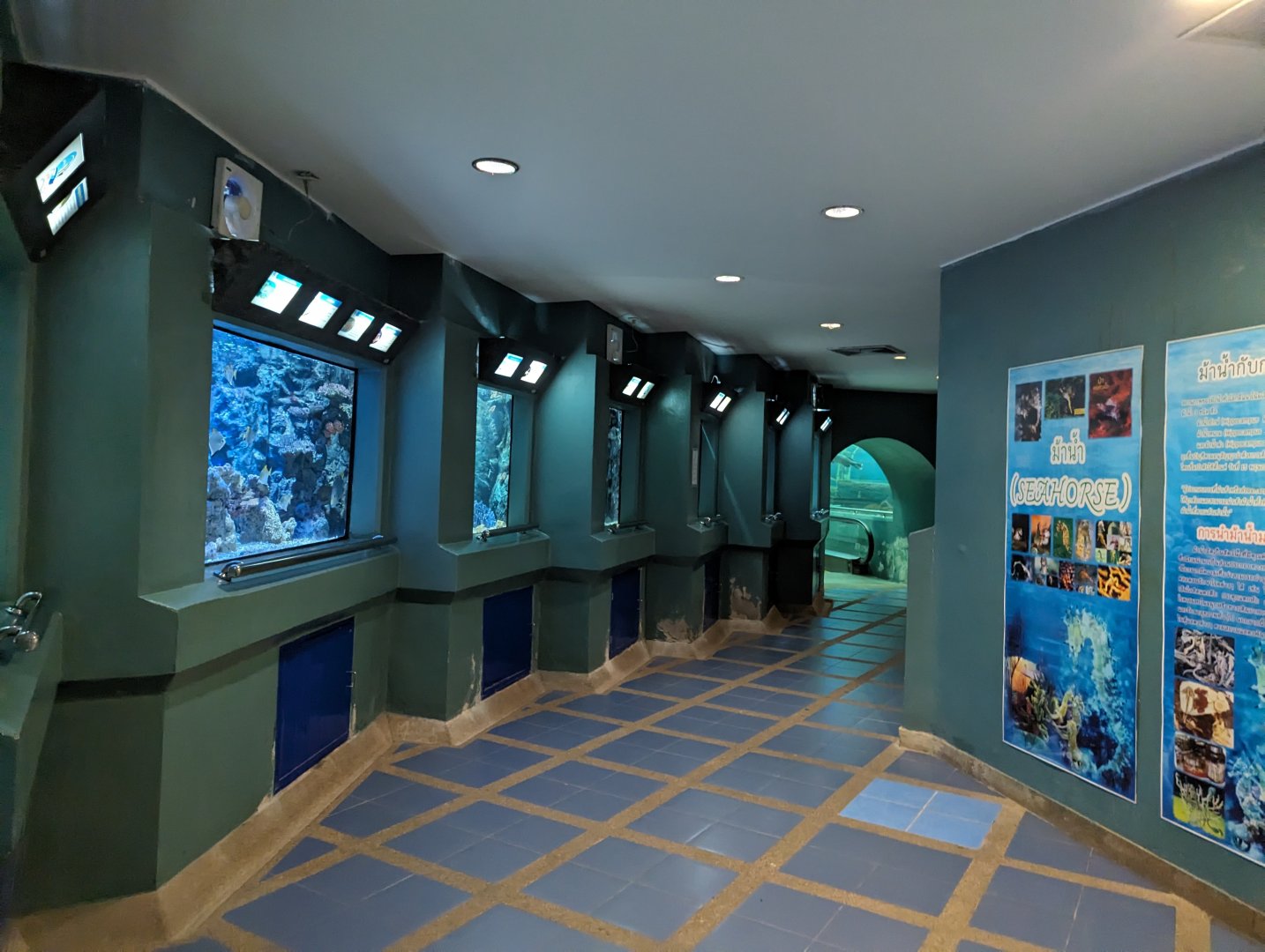 Row of Tanks - Rayong Aquarium