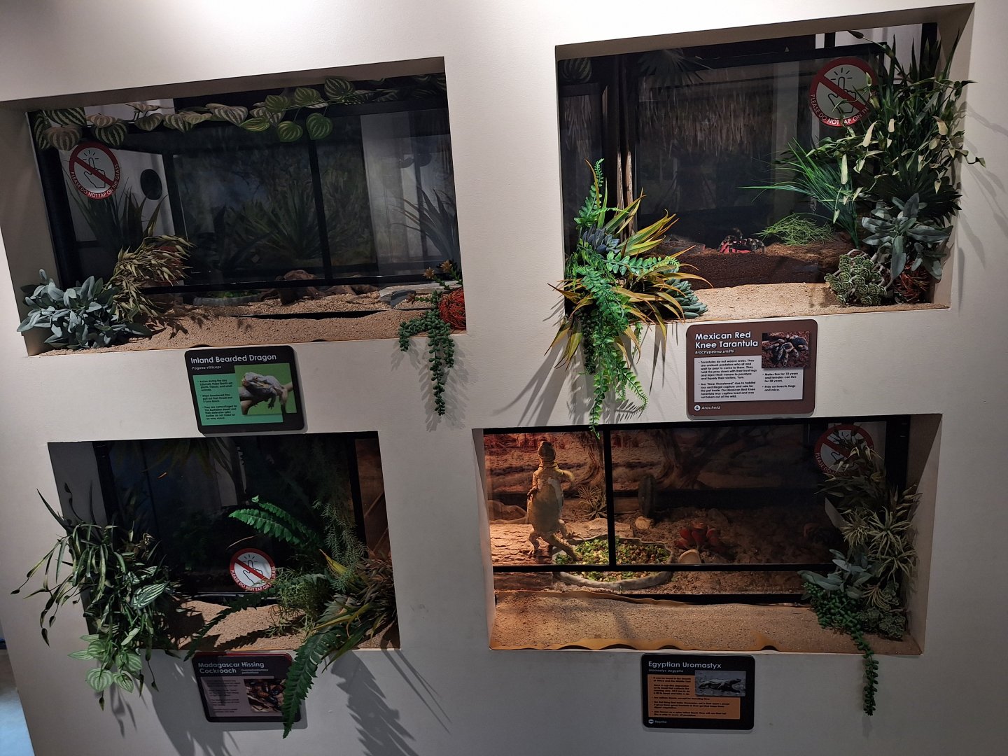 Row of terrariums