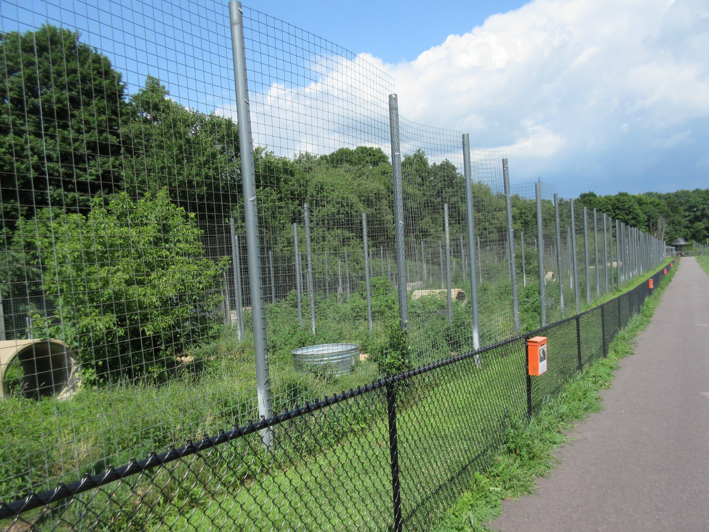 Row of Tiger Exhibits
