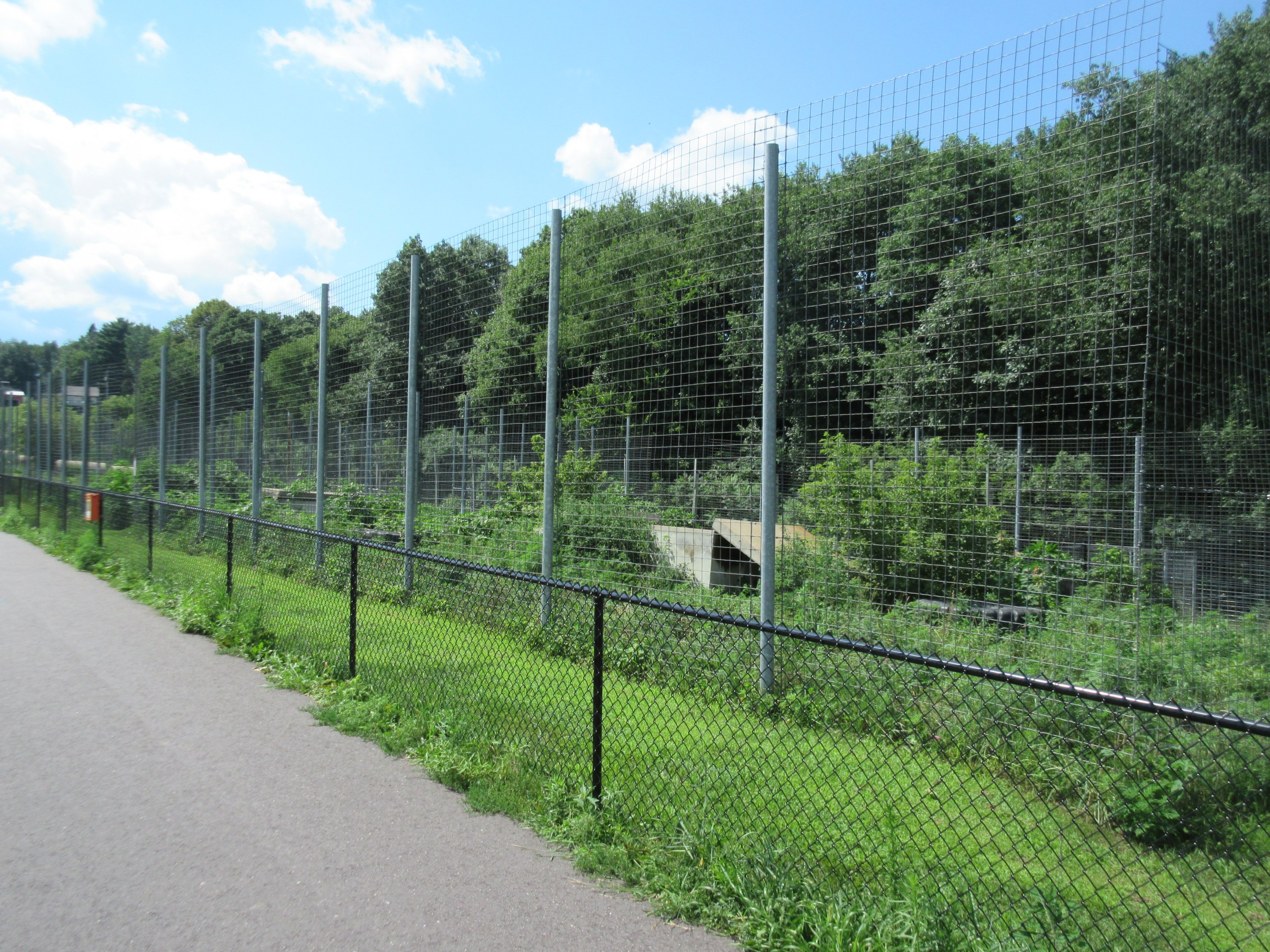 Row of Tiger Exhibits