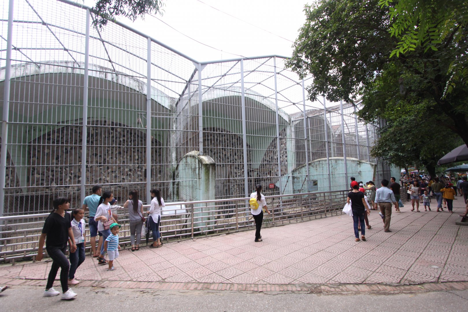 Row with carnivore cages