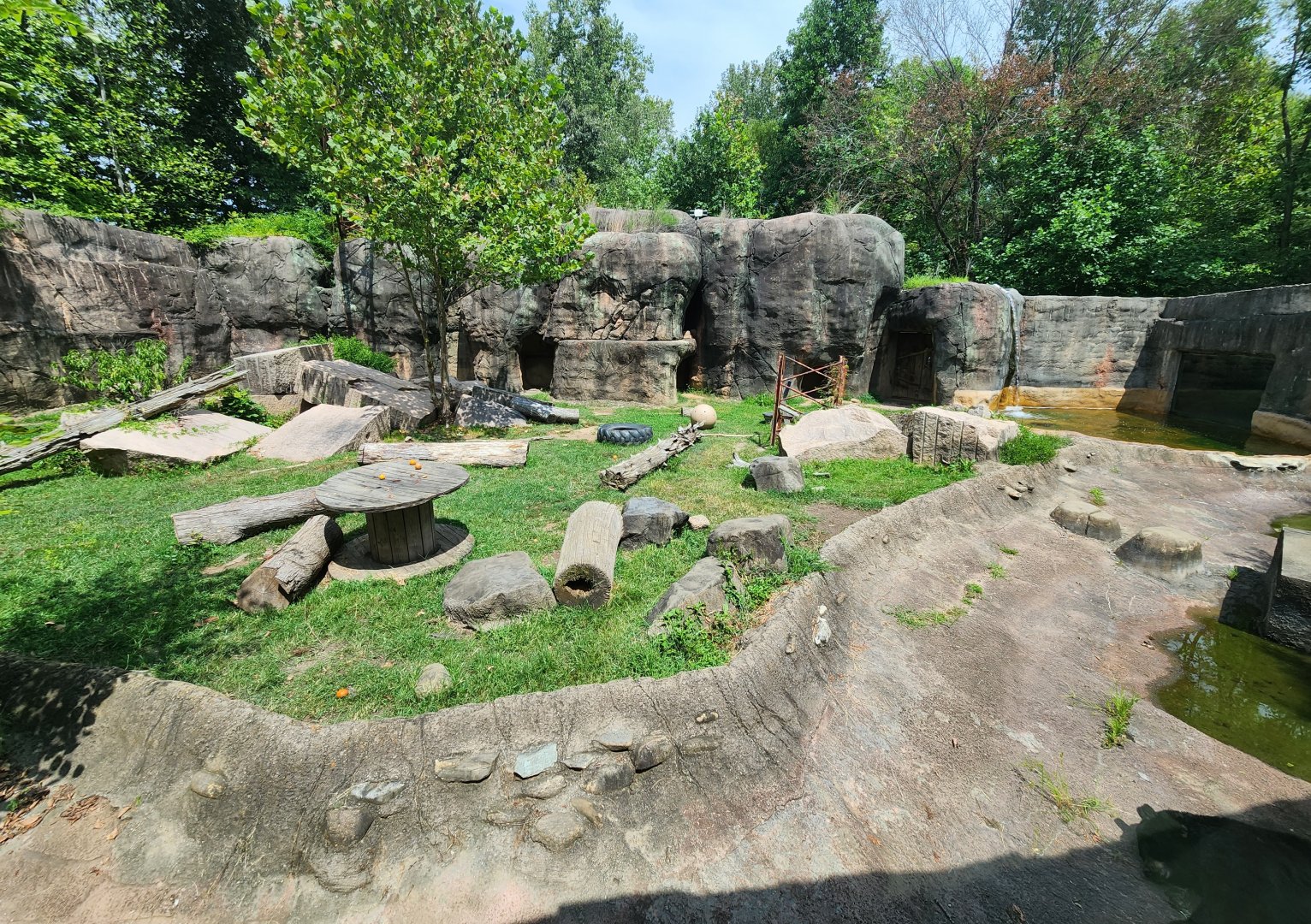 Rowan Wild (2023) - Bear enclosure