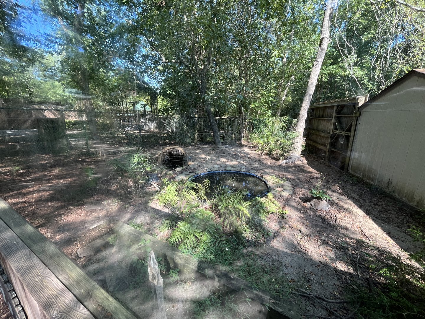 Rowan Wild-Alligator Habitat