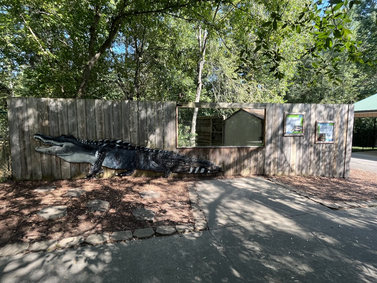 Rowan Wild-Alligator Viewing