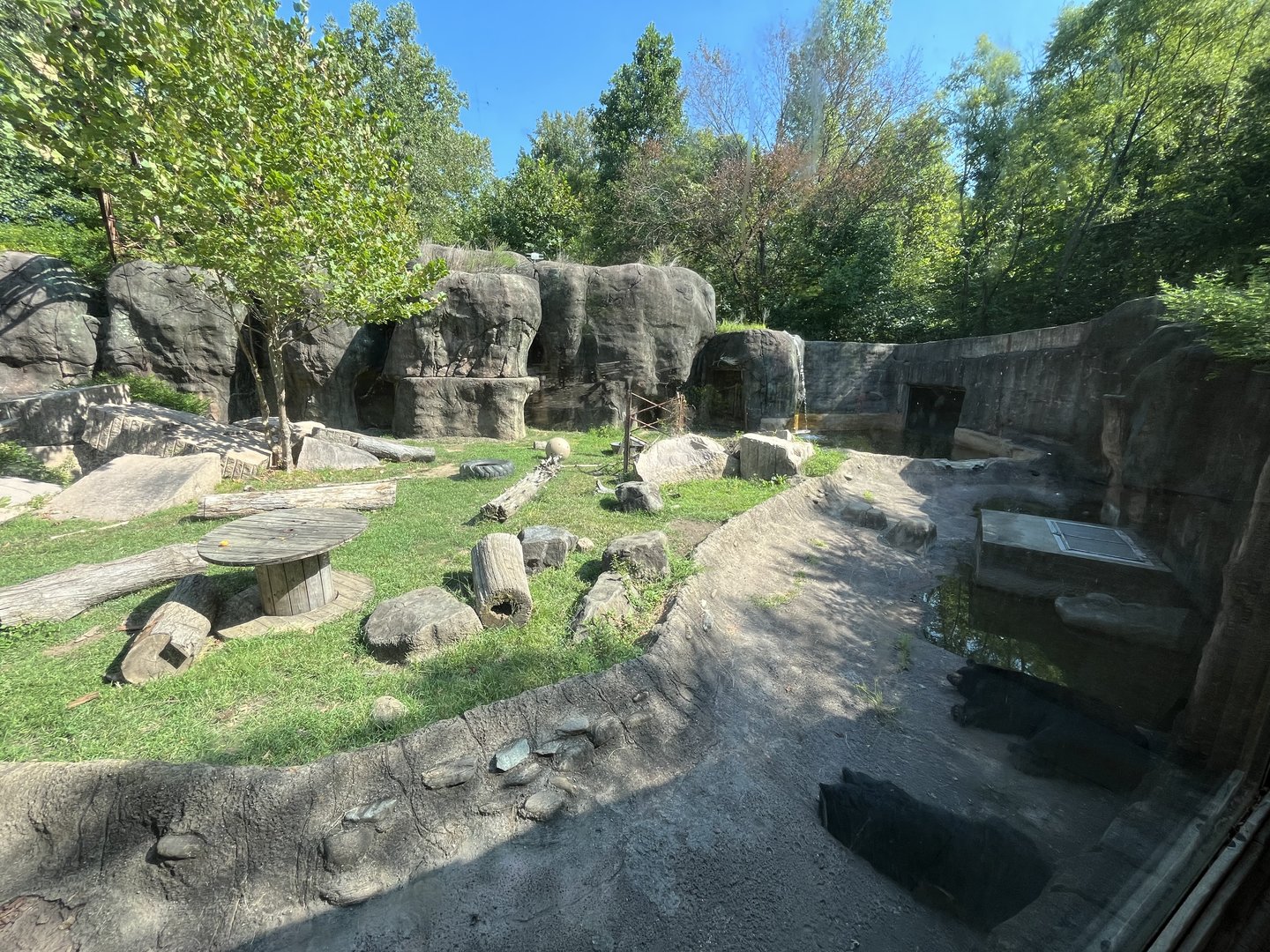 Rowan Wild-Black Bear Habitat