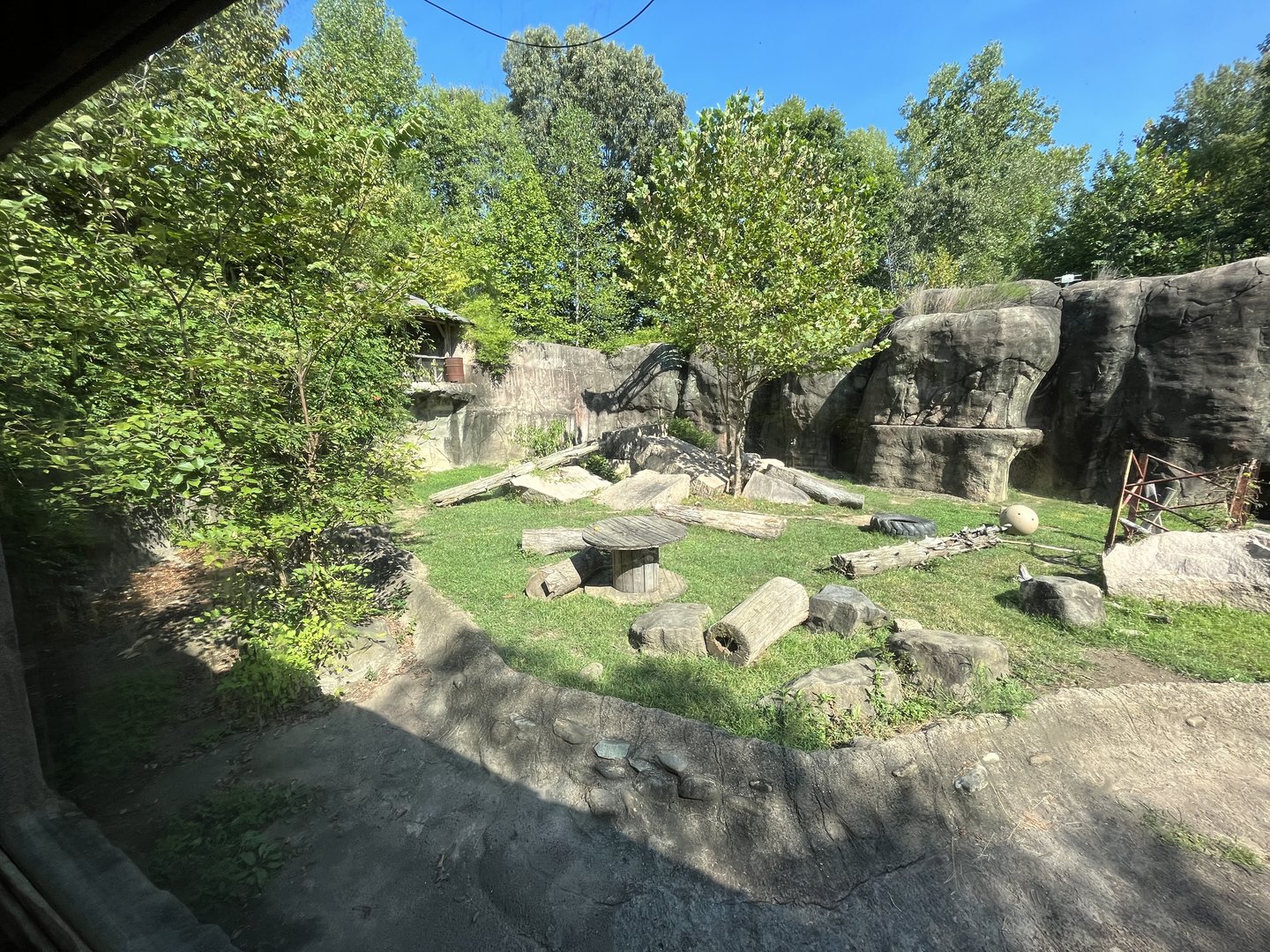 Rowan Wild-Black Bear Habitat