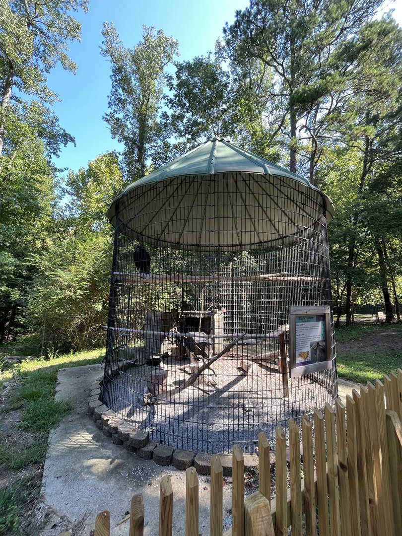 Rowan Wild-Black Vulture Cage