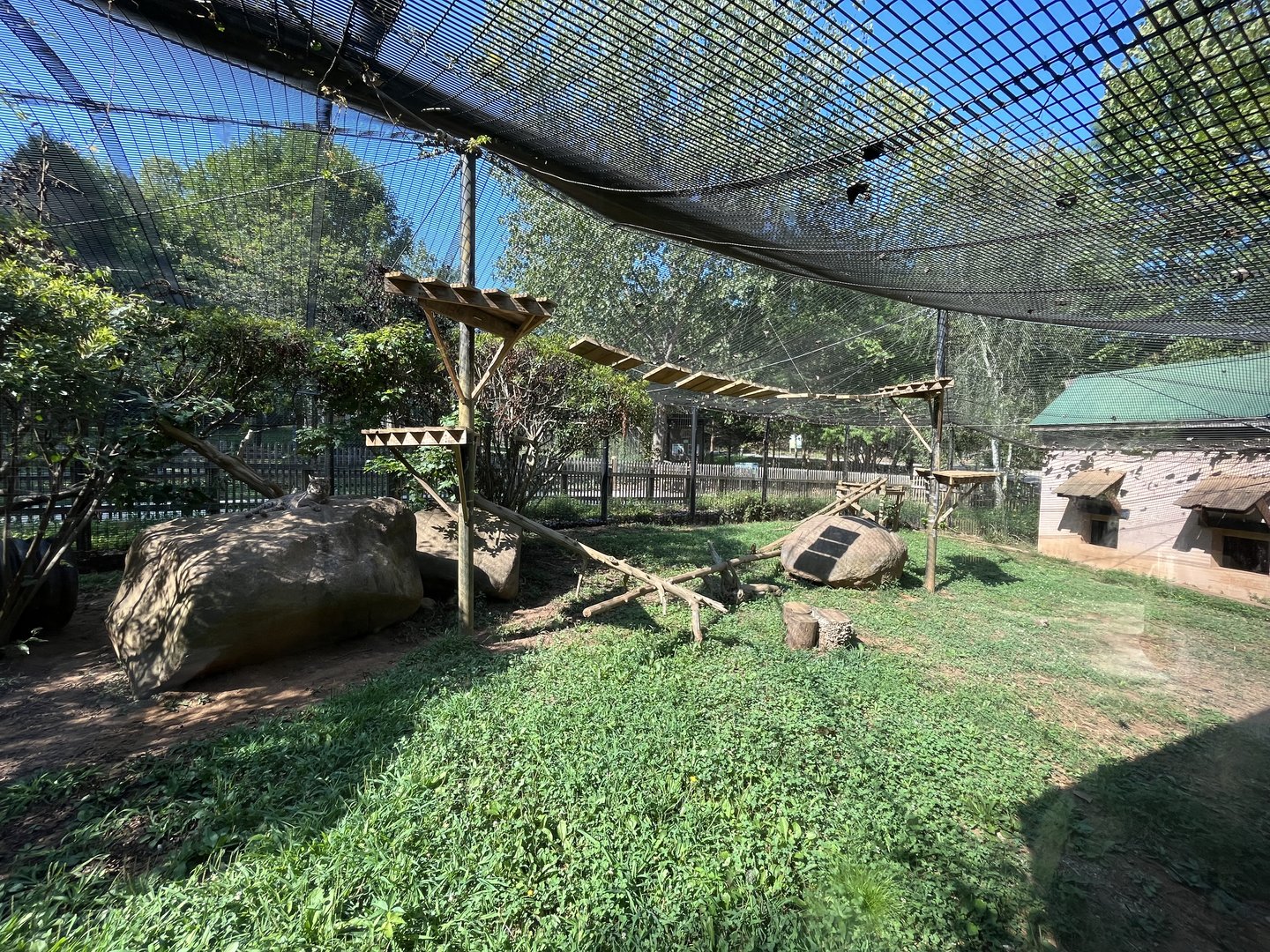 Rowan Wild-Bobcat Habitat