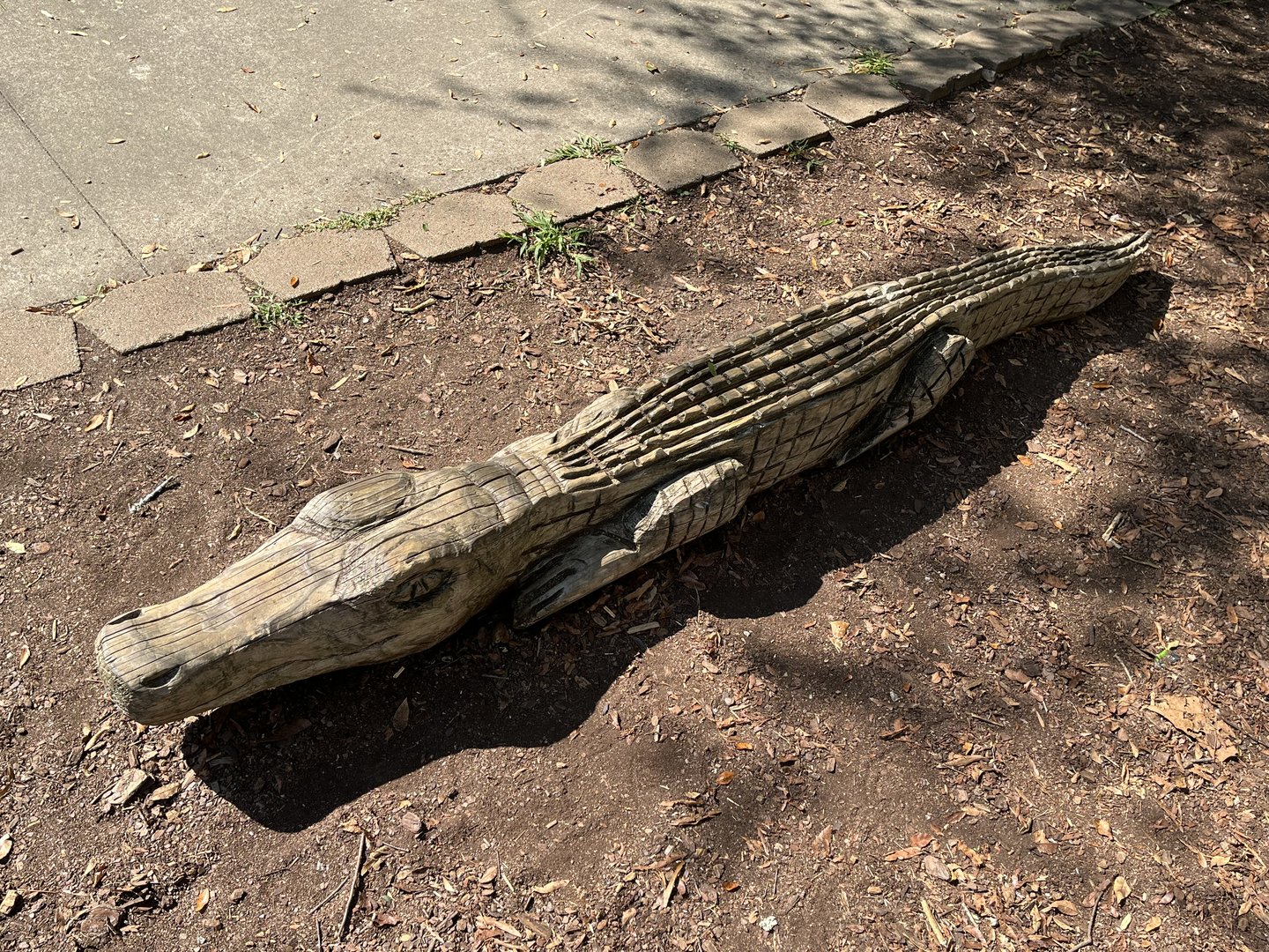 Rowan Wild-Carved Alligator