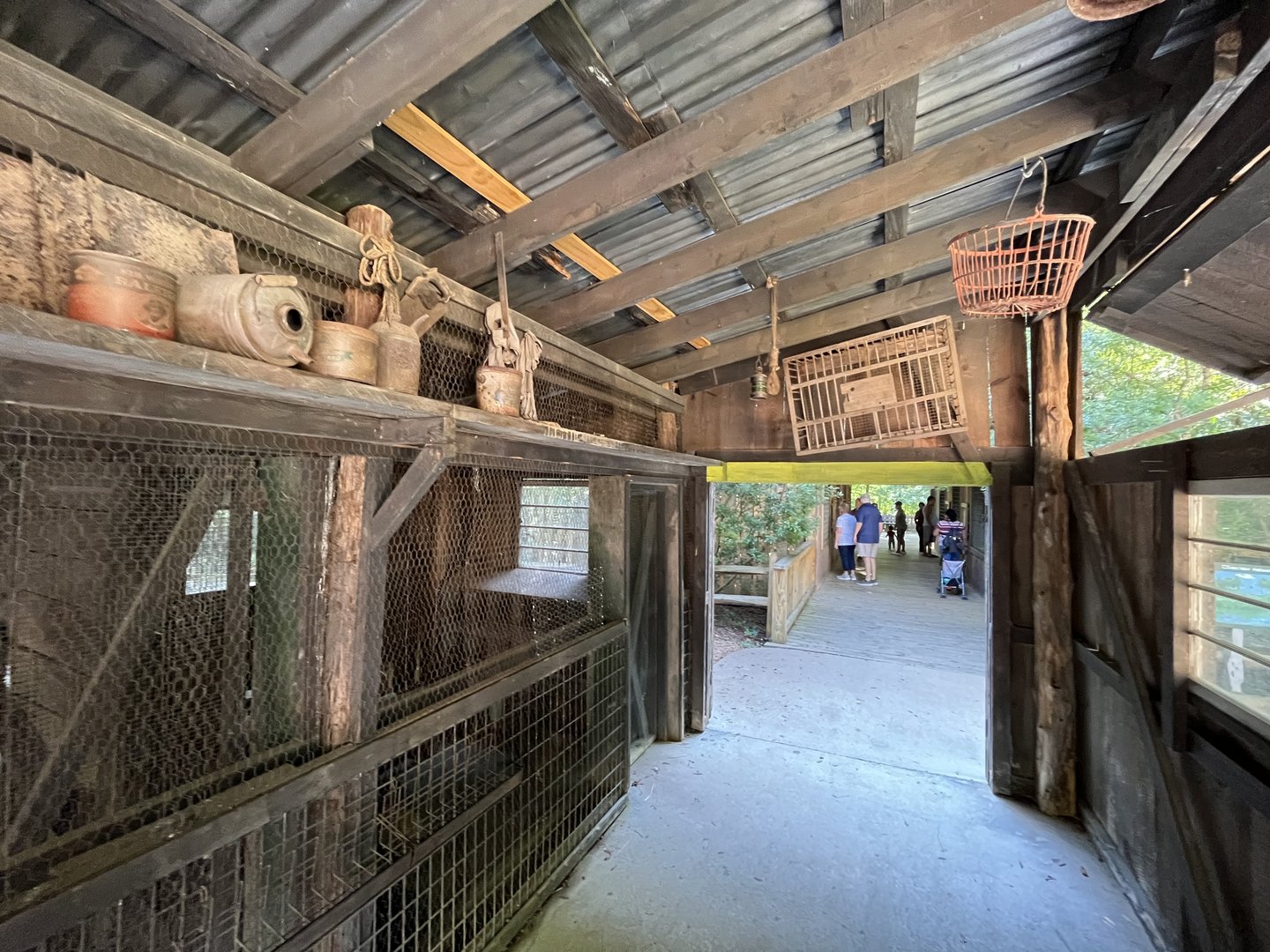 Rowan Wild-Chicken Coop Interior