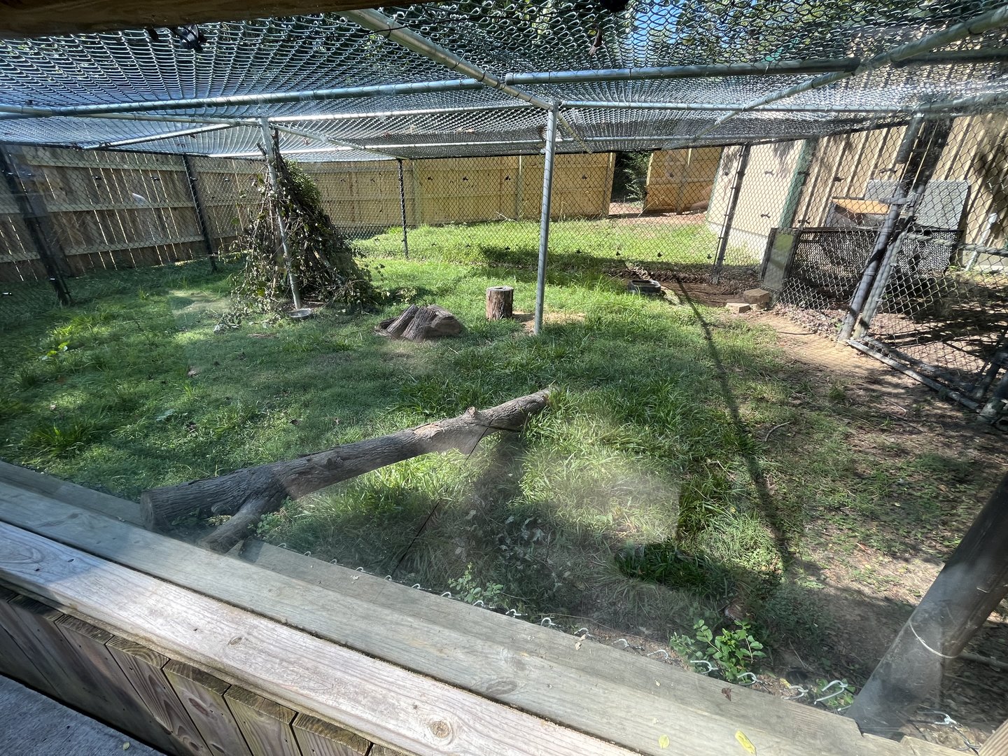 Rowan Wild-Groundhog Habitat