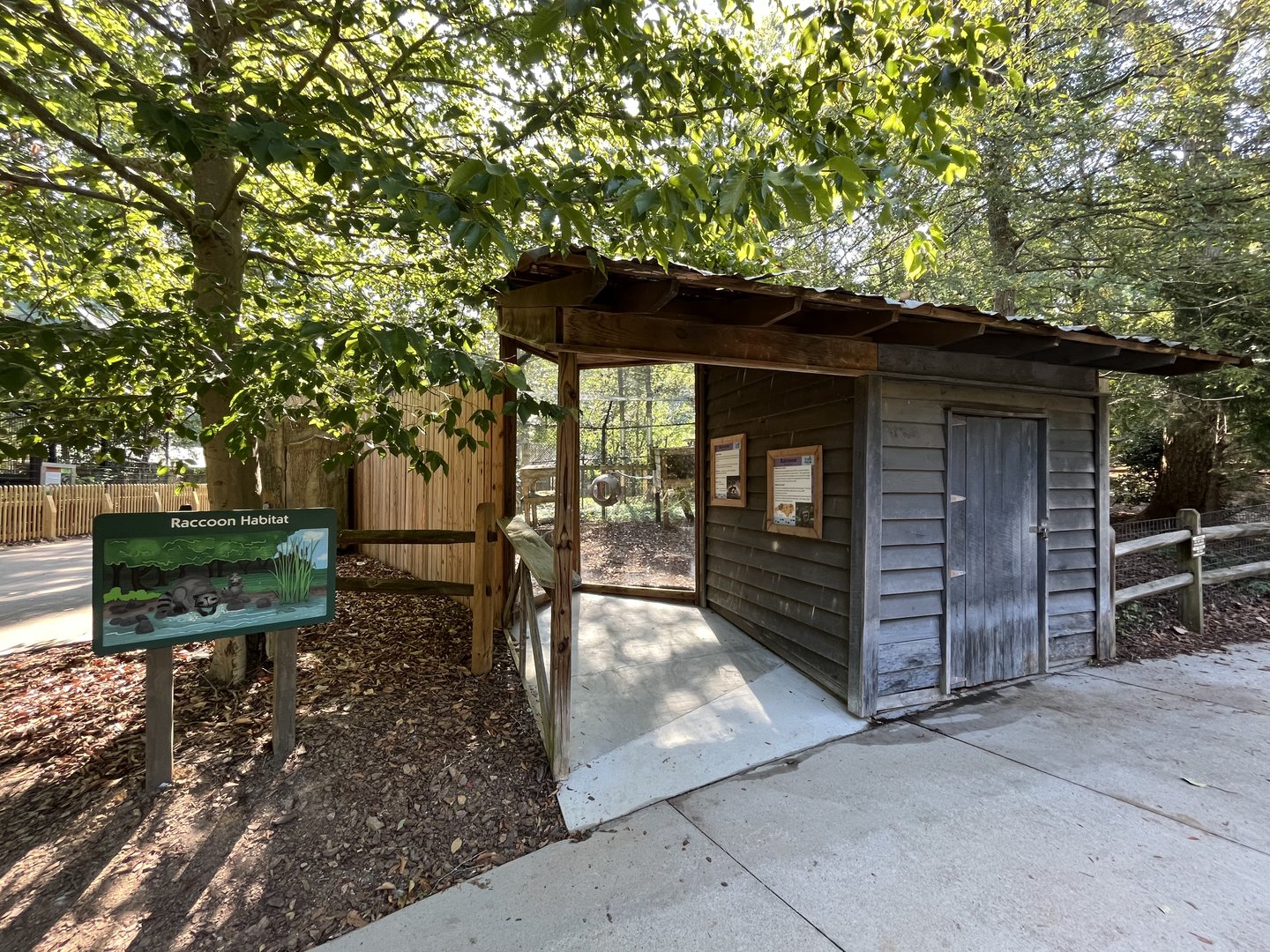 Rowan Wild-Raccoon Habitat