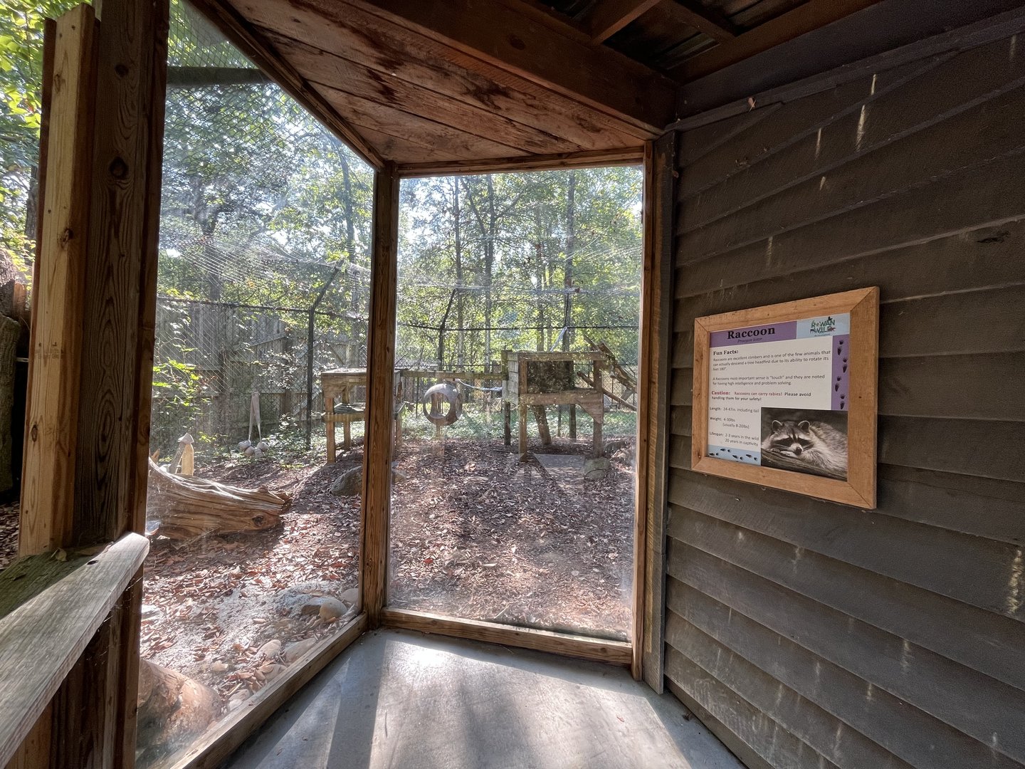 Rowan Wild-Raccoon Habitat