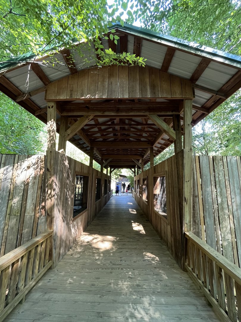 Rowan Wild-Raptor Bridge