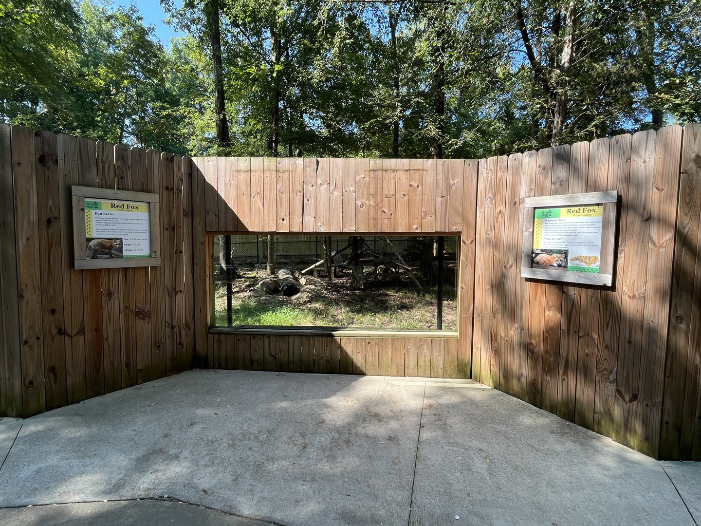 Rowan Wild-Red Fox Viewing