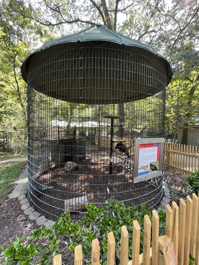 Rowan Wild-Turkey Vulture Cage
