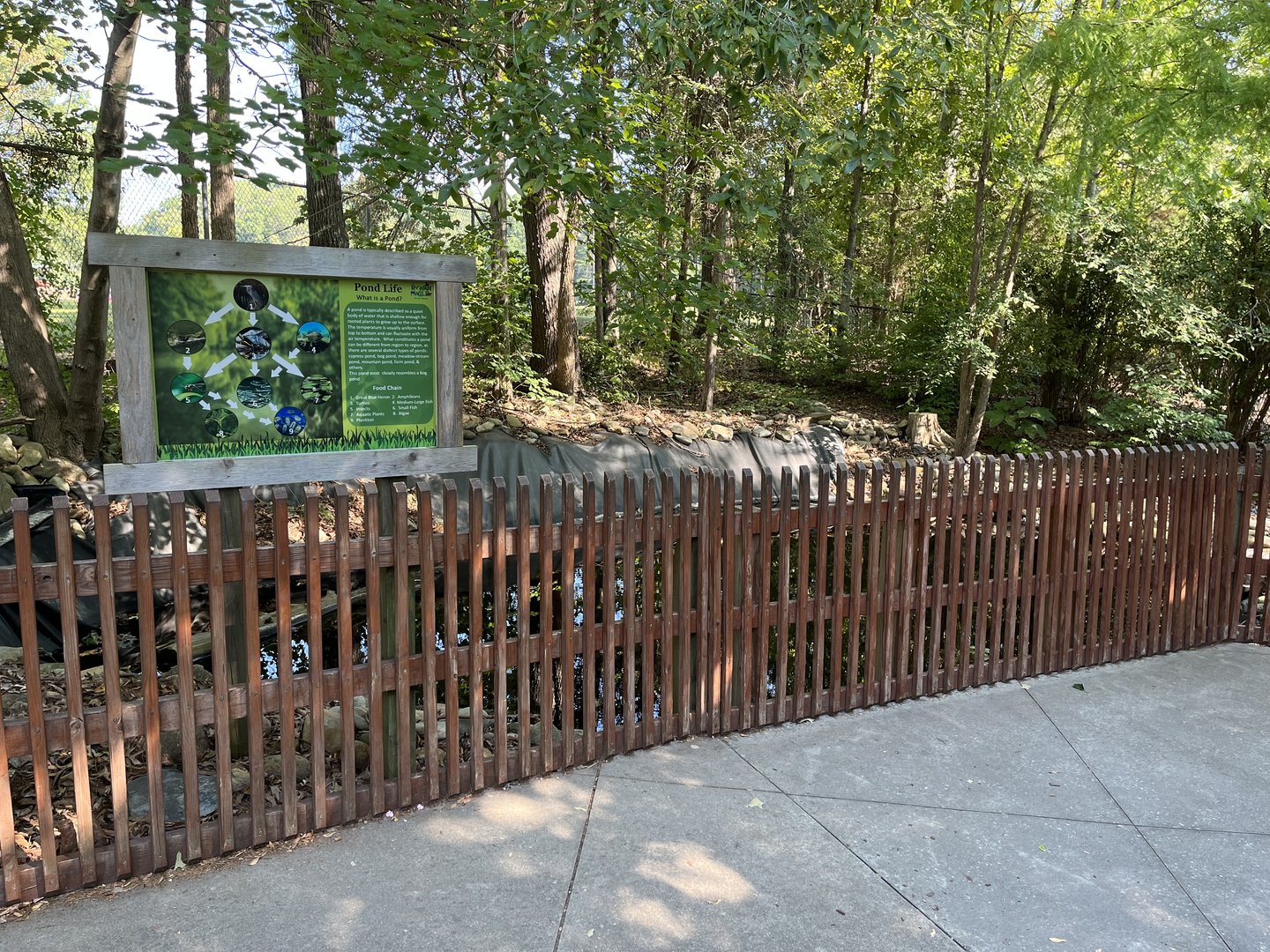 Rowan Wild-Wildlife Pond