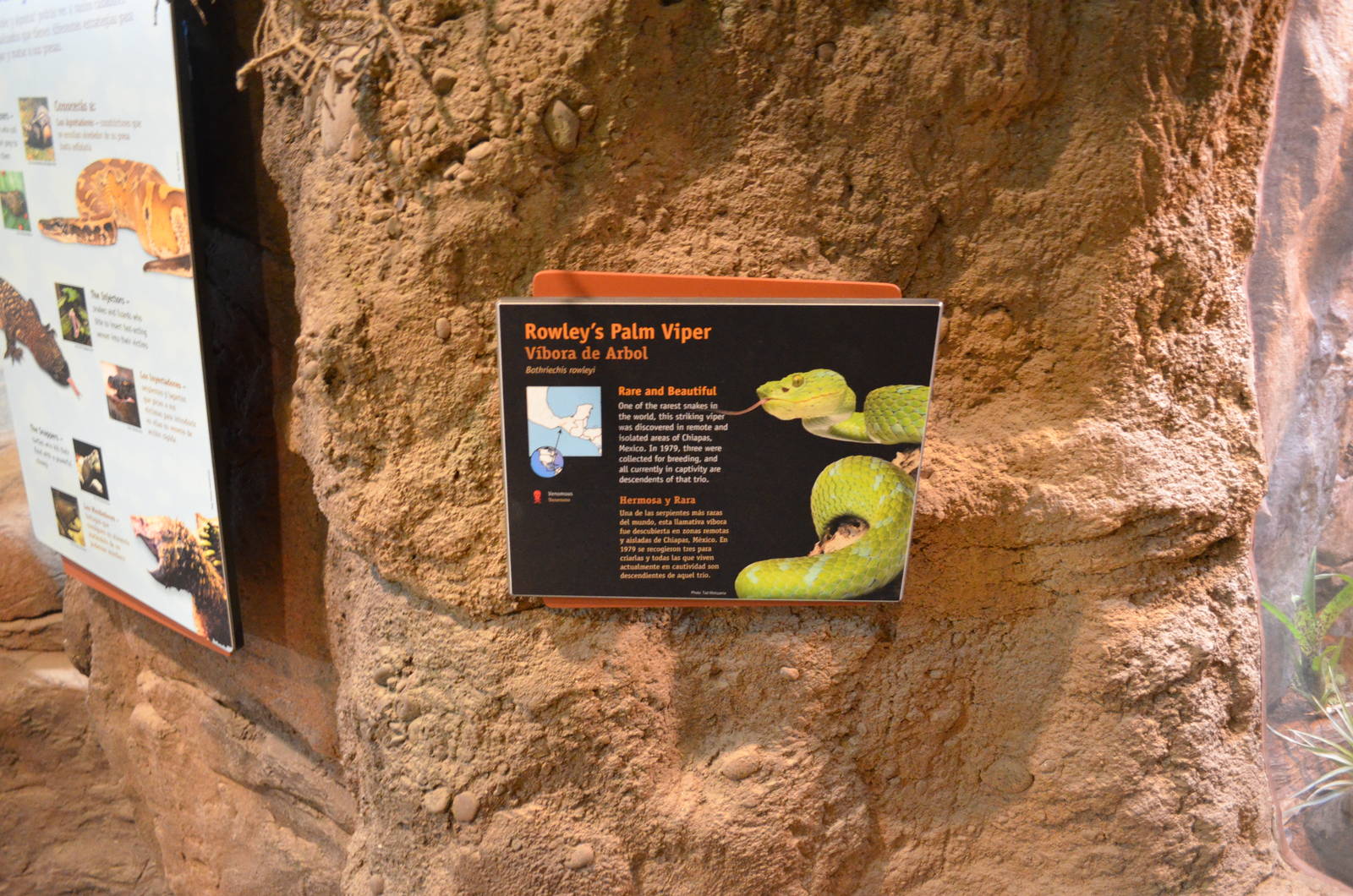 ROWLEY'S PALM VIPER SIGNAGE