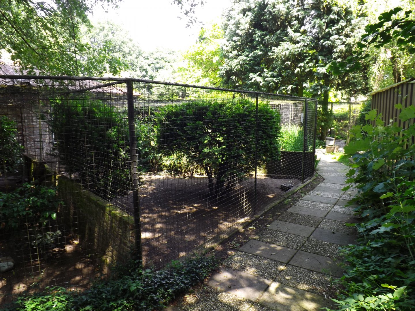 Rows of aviaries - 2013/14