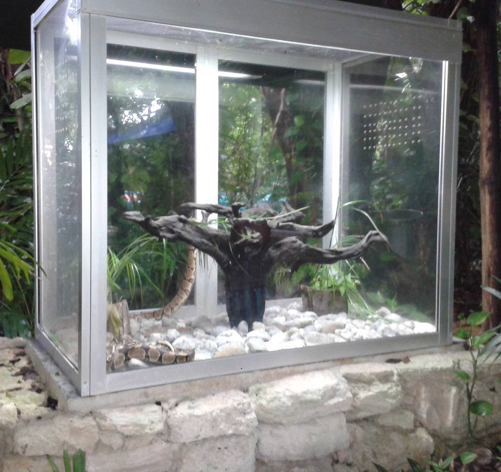 Royal python enclosure