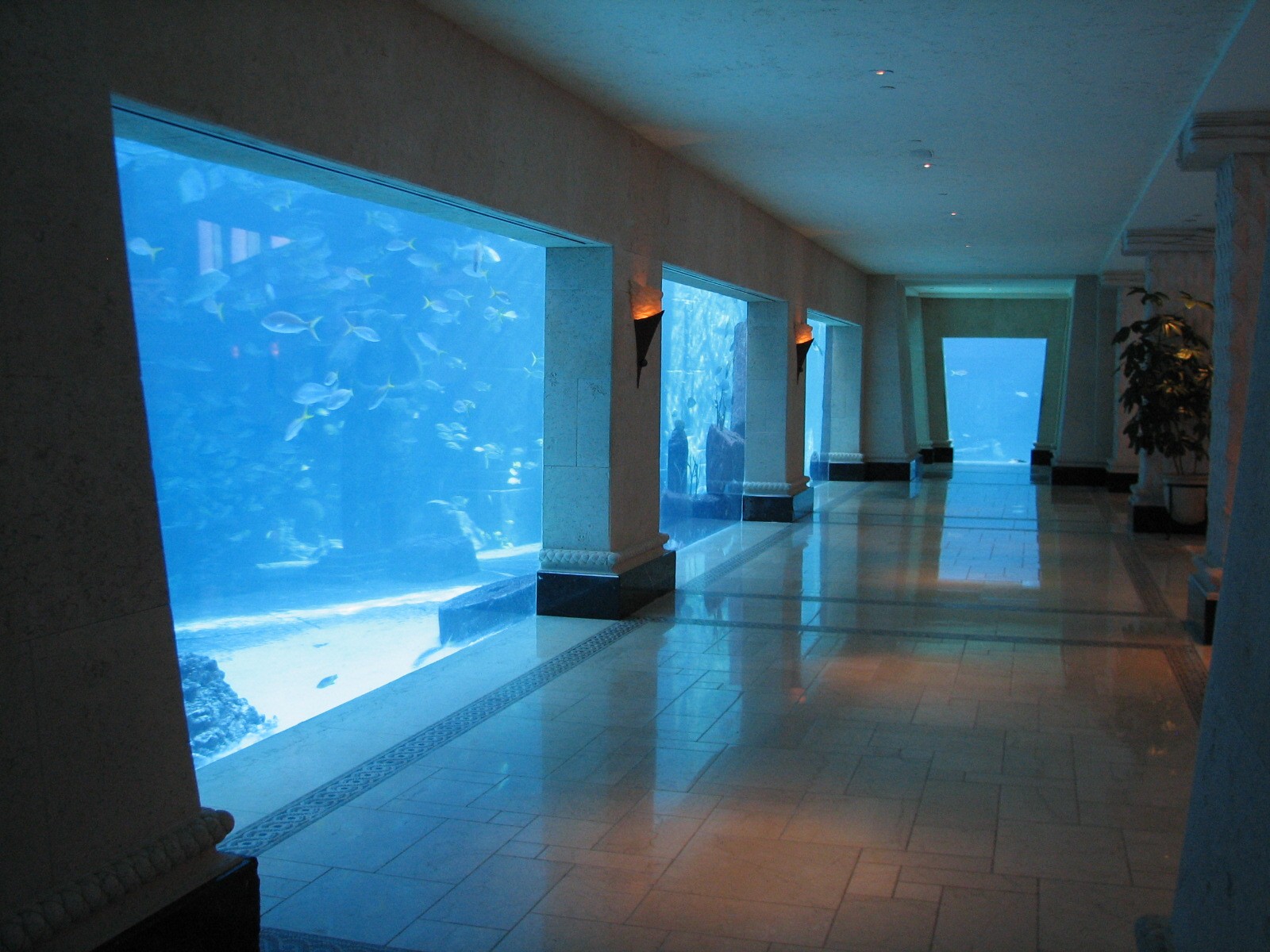 Royal Towers - Great Hall of Waters - View into Ruins Lagoon