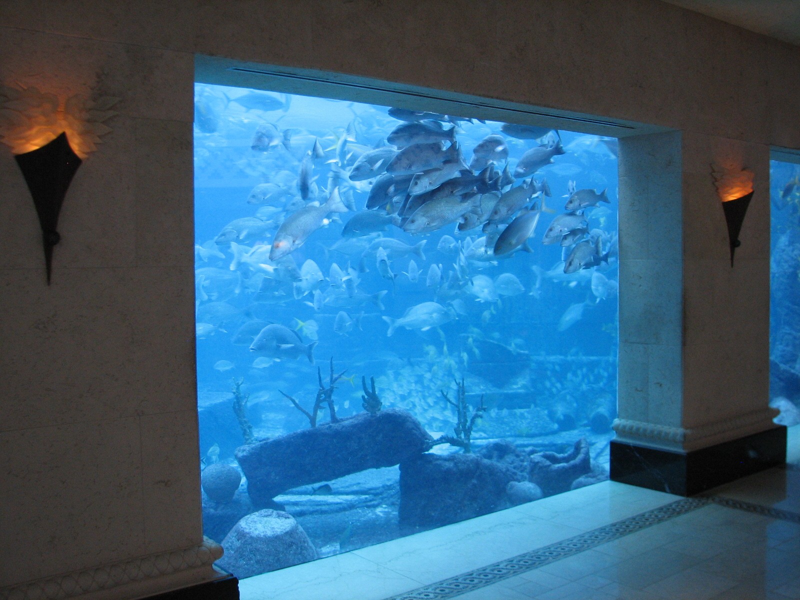 Royal Towers - Great Hall of Waters - View into Ruins Lagoon