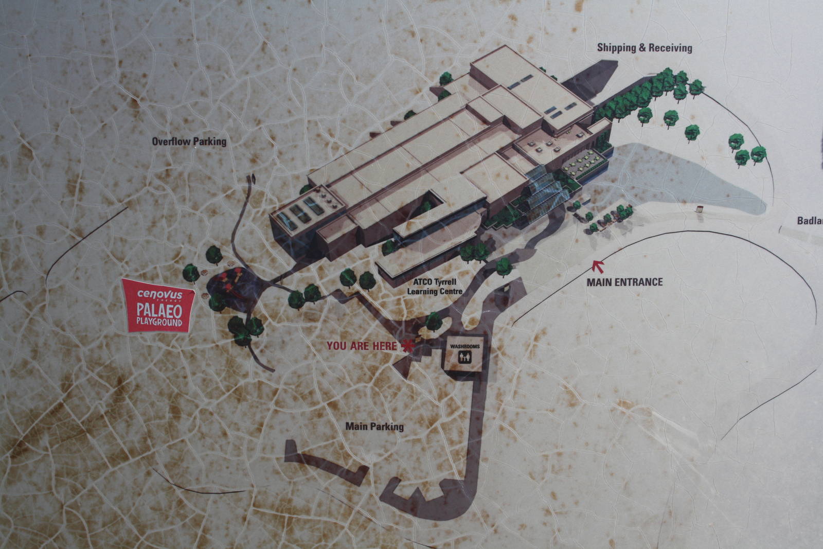 Royal Tyrrell Museum - Area Map