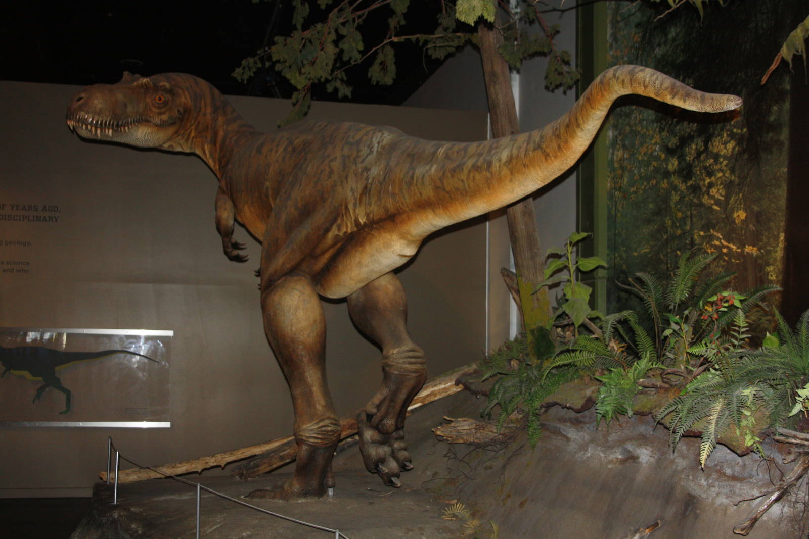 Royal Tyrrell Museum - Cretaceous Alberta Gallery