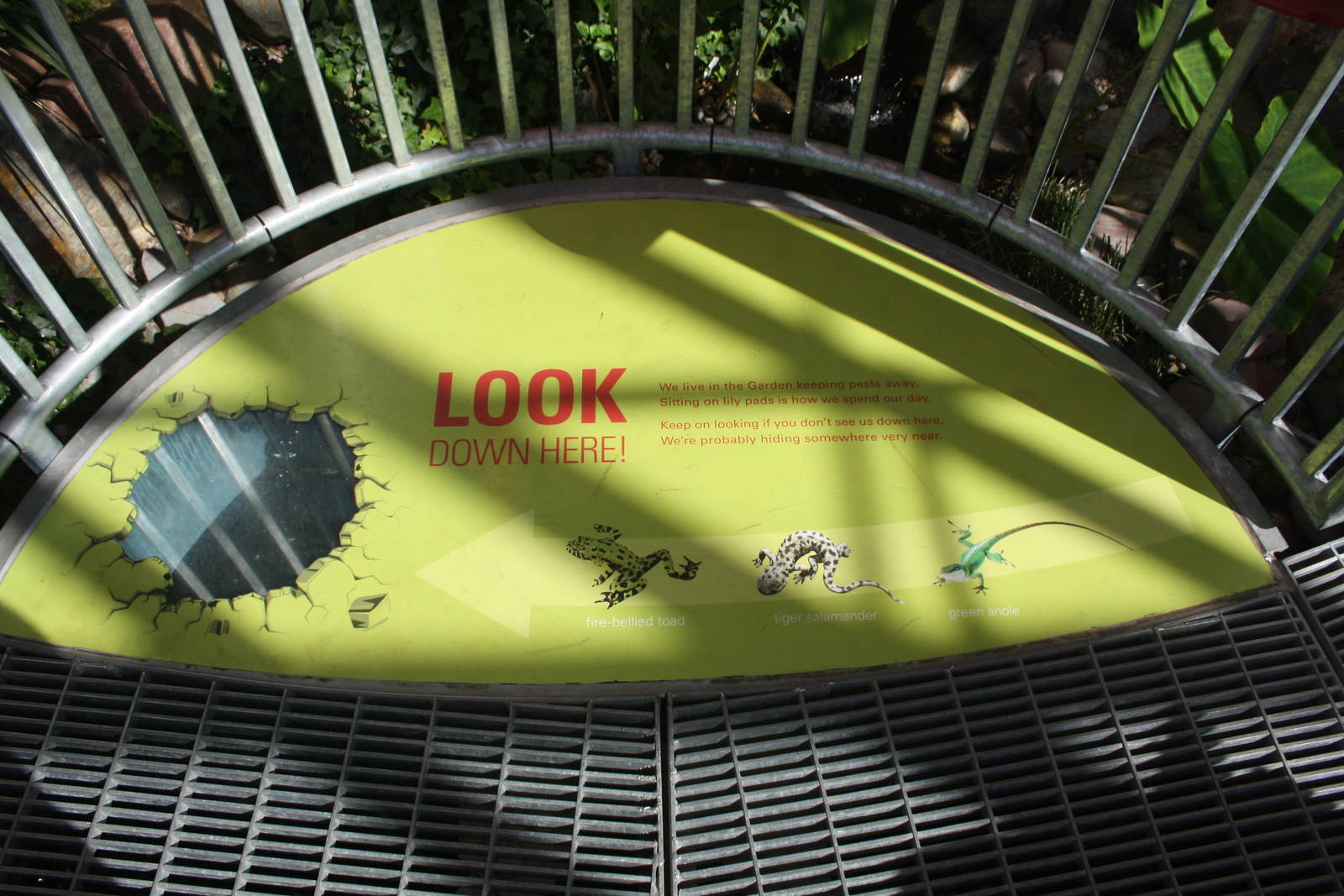 Royal Tyrrell Museum - Cretaceous Garden (look for 3 species!)