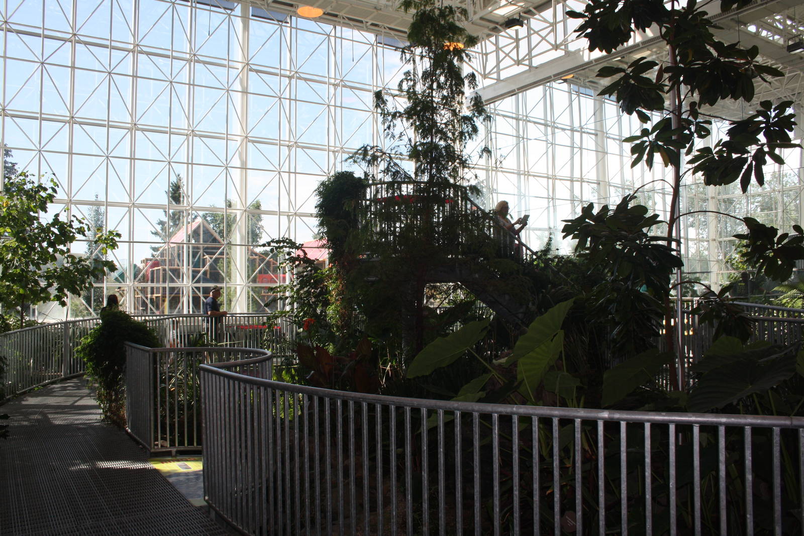 Royal Tyrrell Museum - Cretaceous Garden