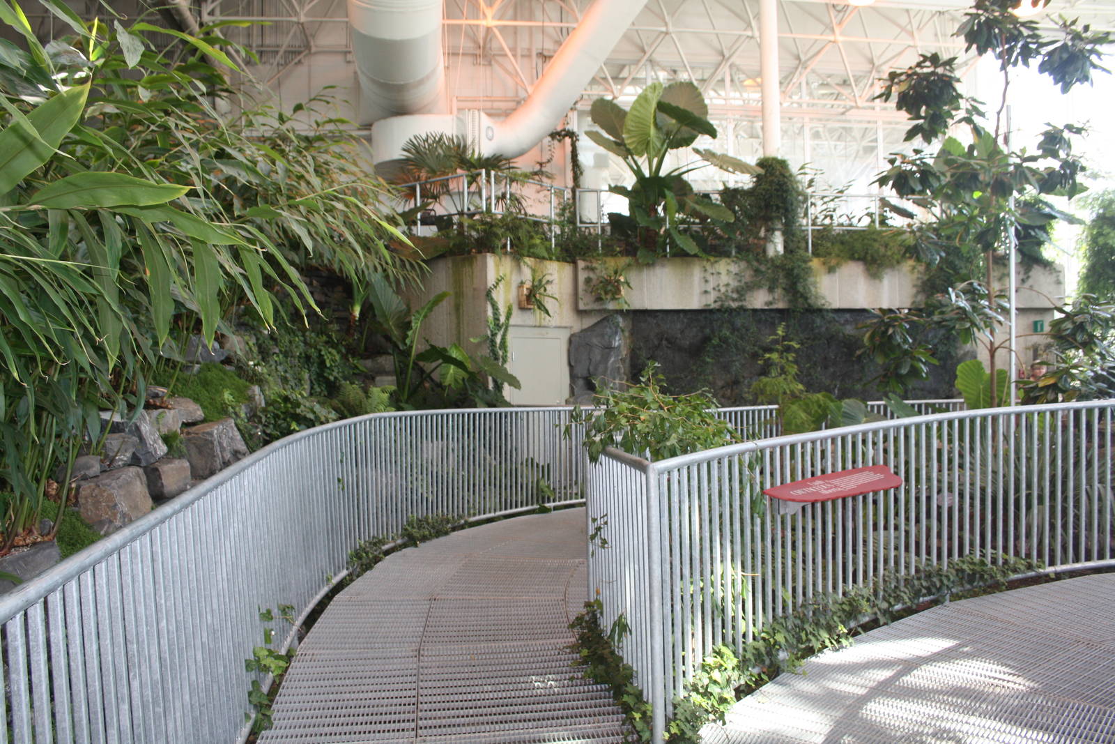 Royal Tyrrell Museum - Cretaceous Garden