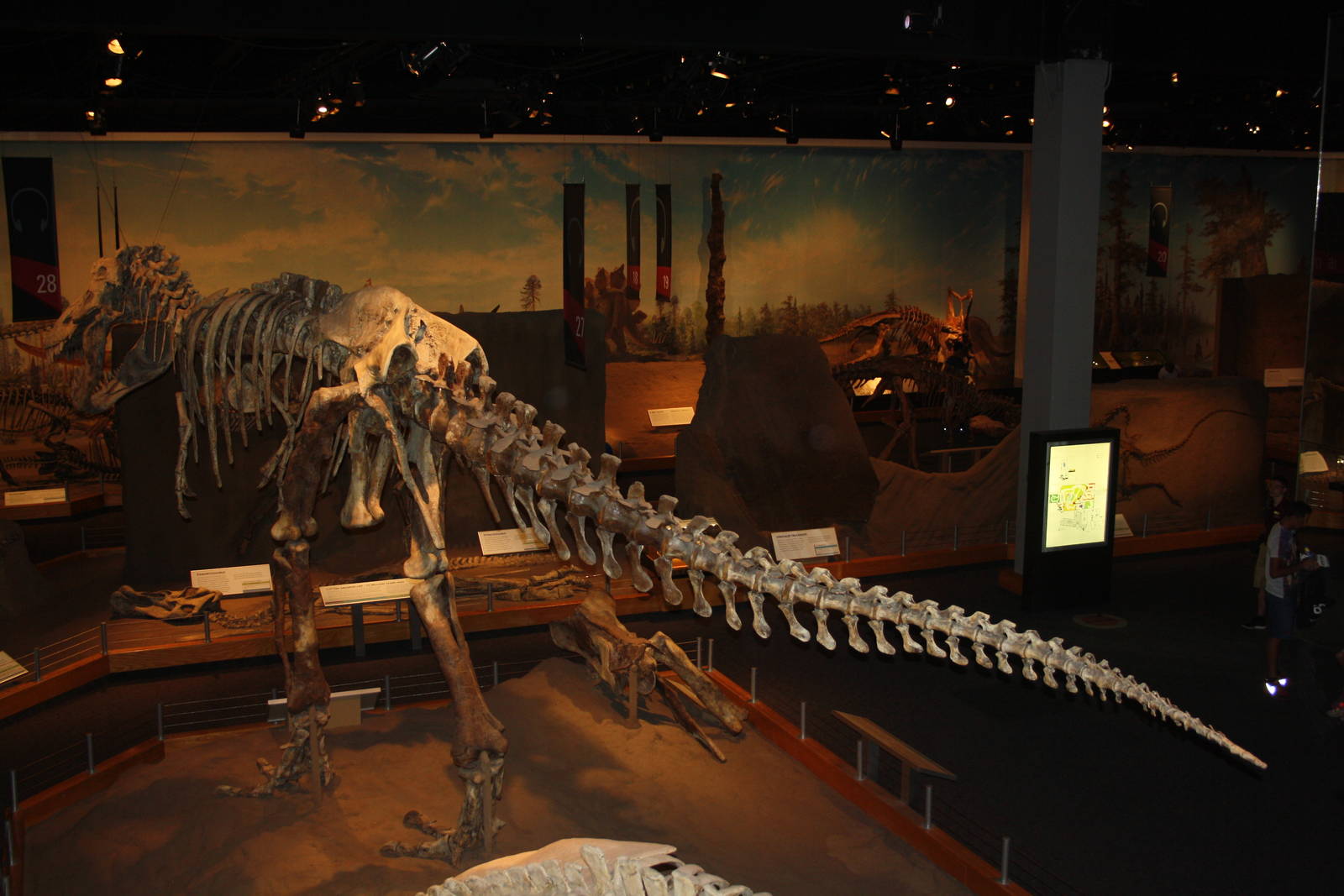 Royal Tyrrell Museum - Dinosaur Hall