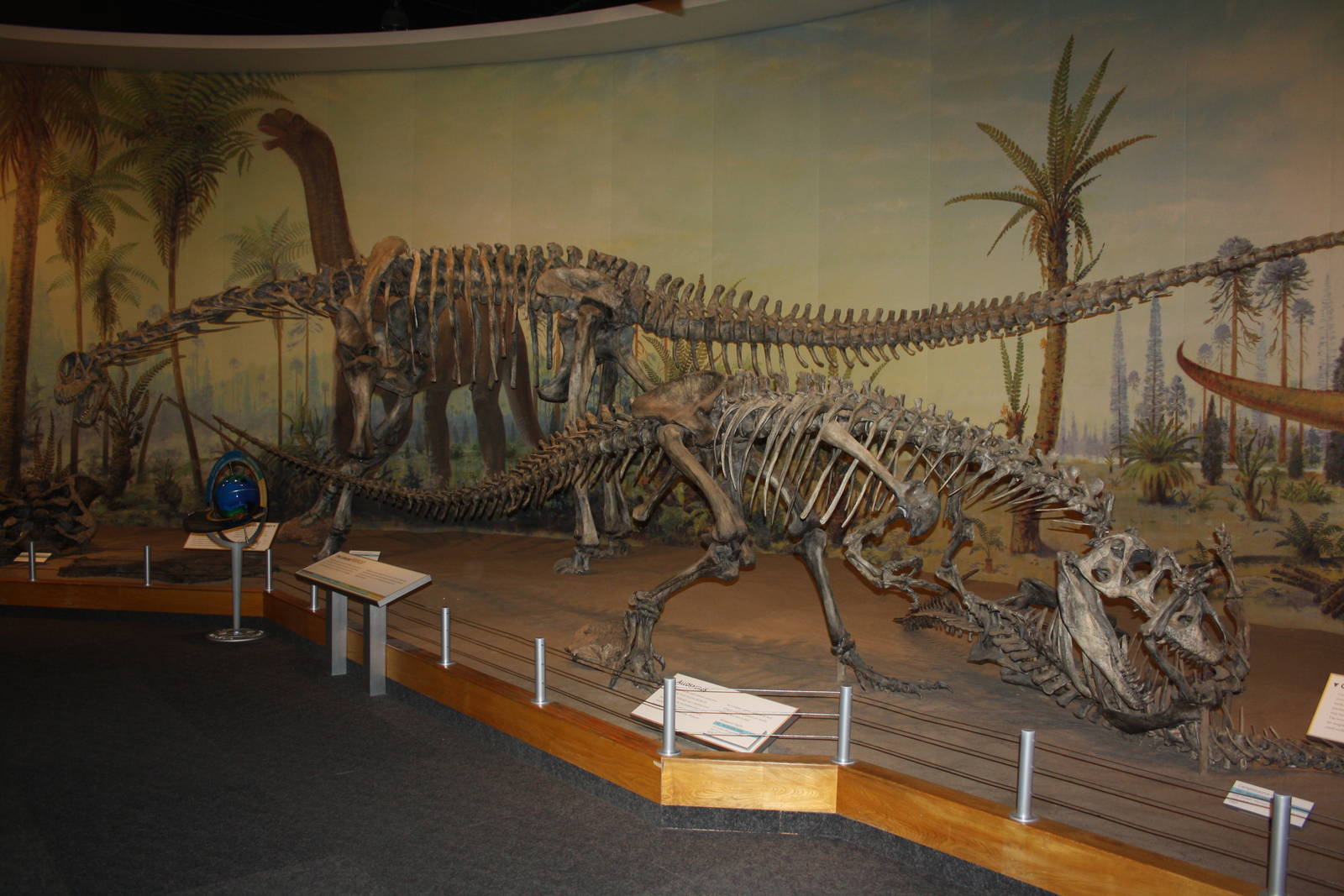 Royal Tyrrell Museum - Dinosaur Hall