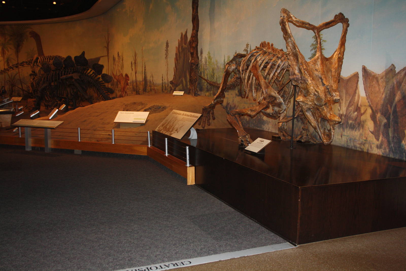 Royal Tyrrell Museum - Dinosaur Hall