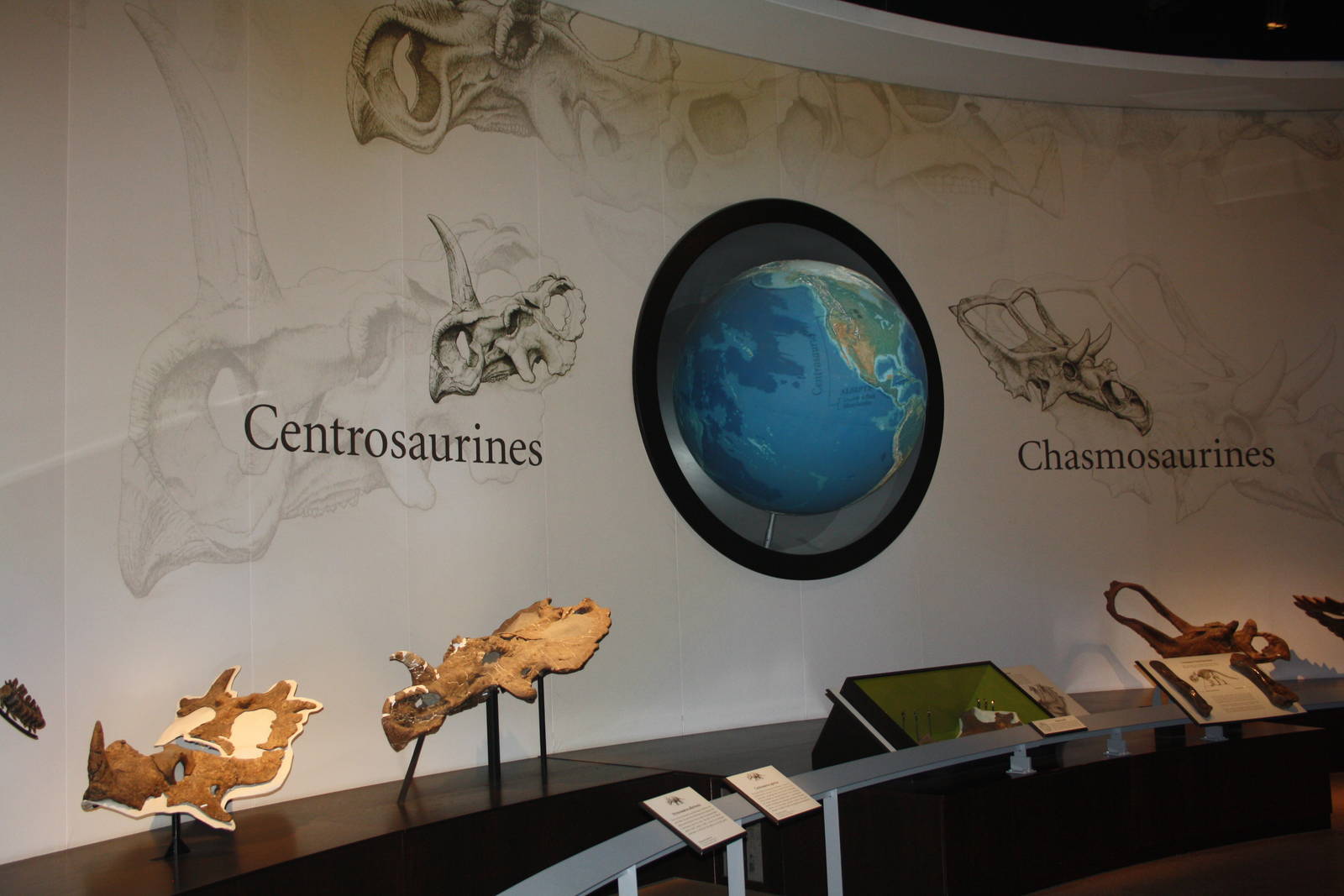 Royal Tyrrell Museum - Dinosaur Hall