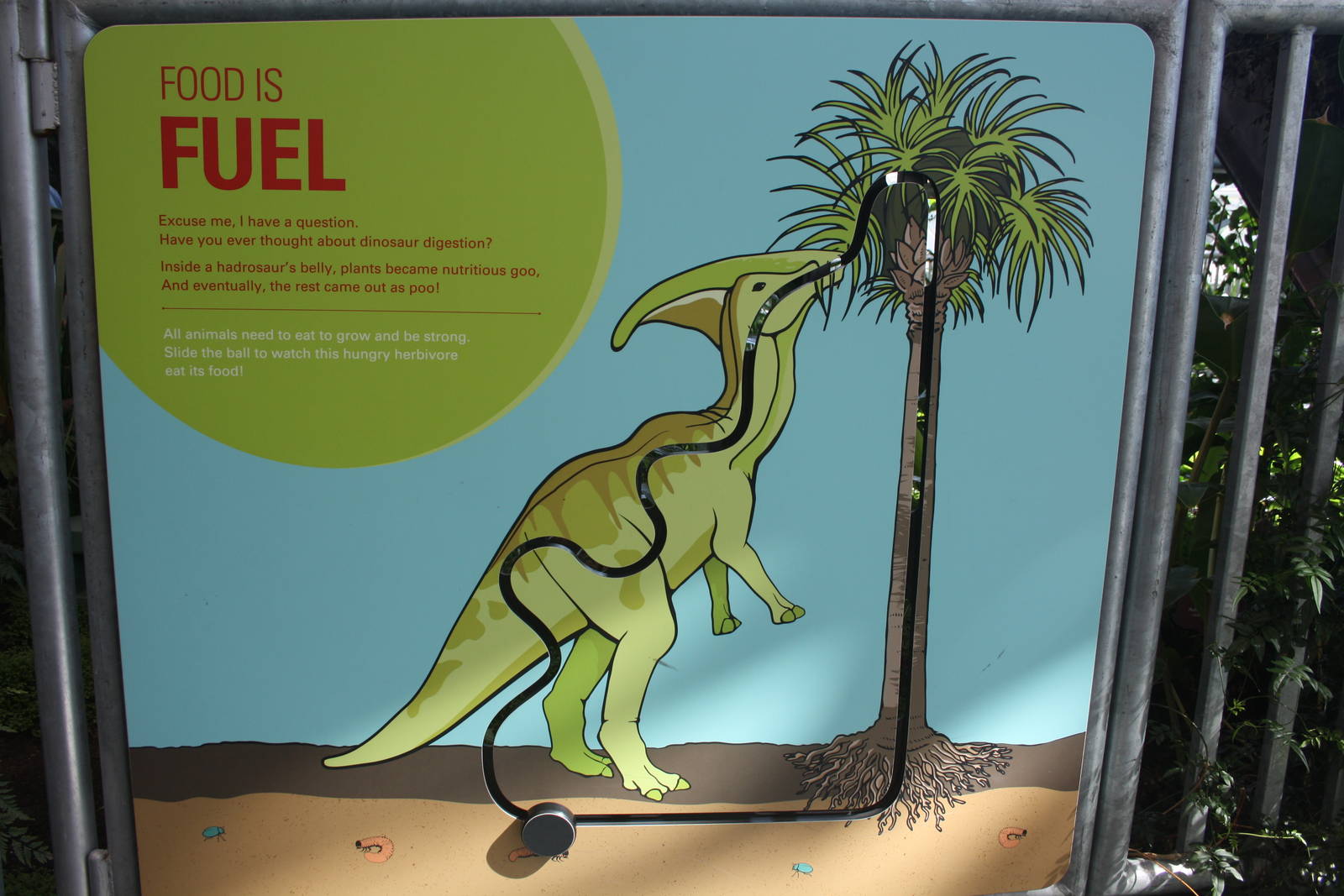 Royal Tyrrell Museum - Food is Fuel (interactive sign)
