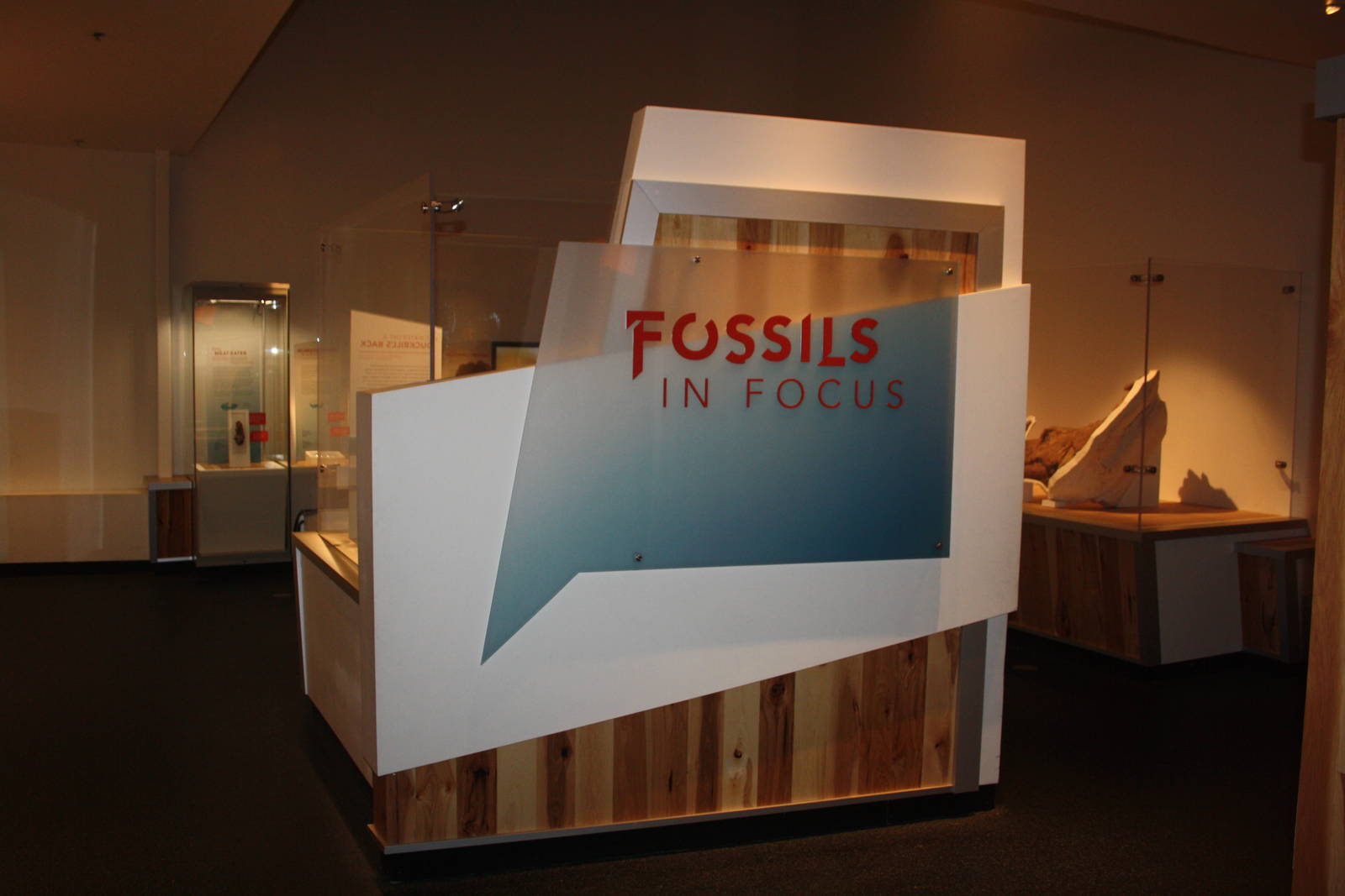 Royal Tyrrell Museum - Fossils in Focus Room