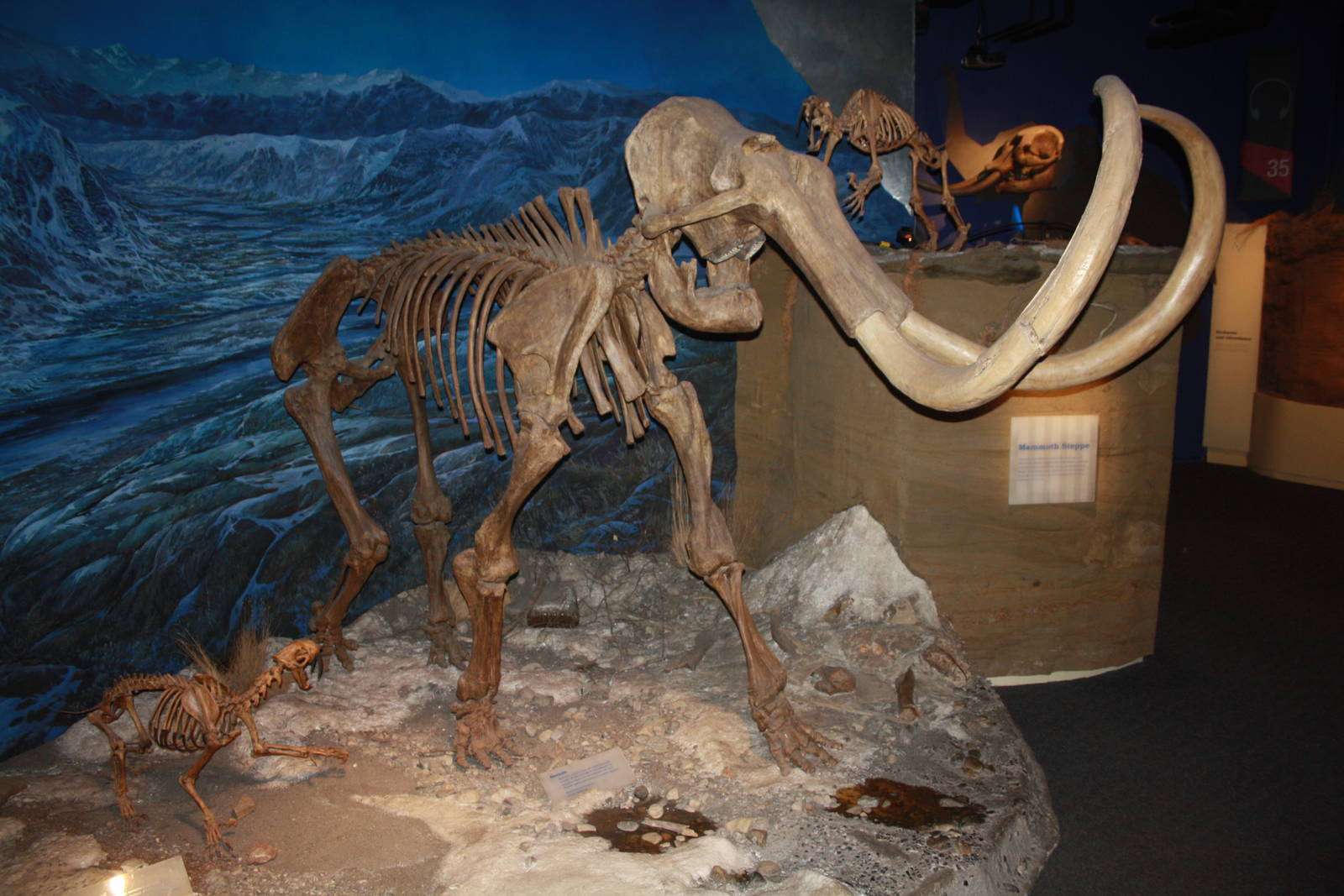 Royal Tyrrell Museum - Ice Age Gallery