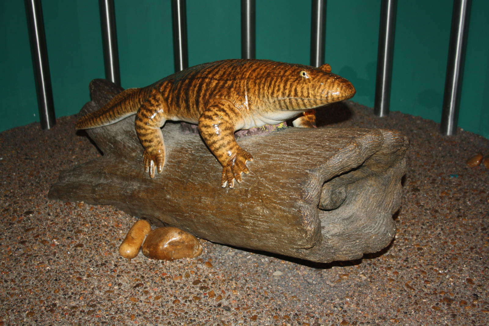 Royal Tyrrell Museum - Ichthyostega