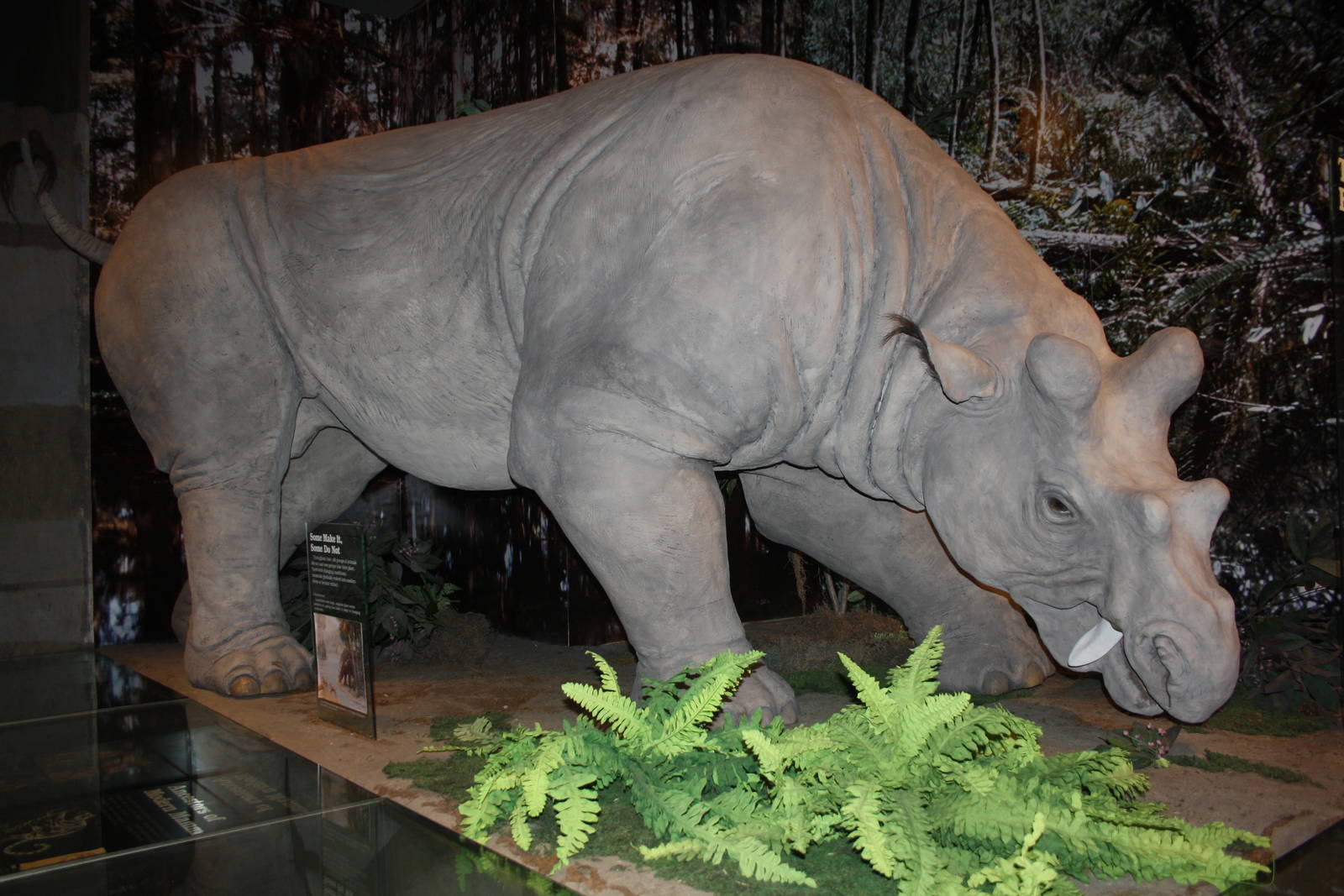 Royal Tyrrell Museum - Mammal Hall (Uintatherium)